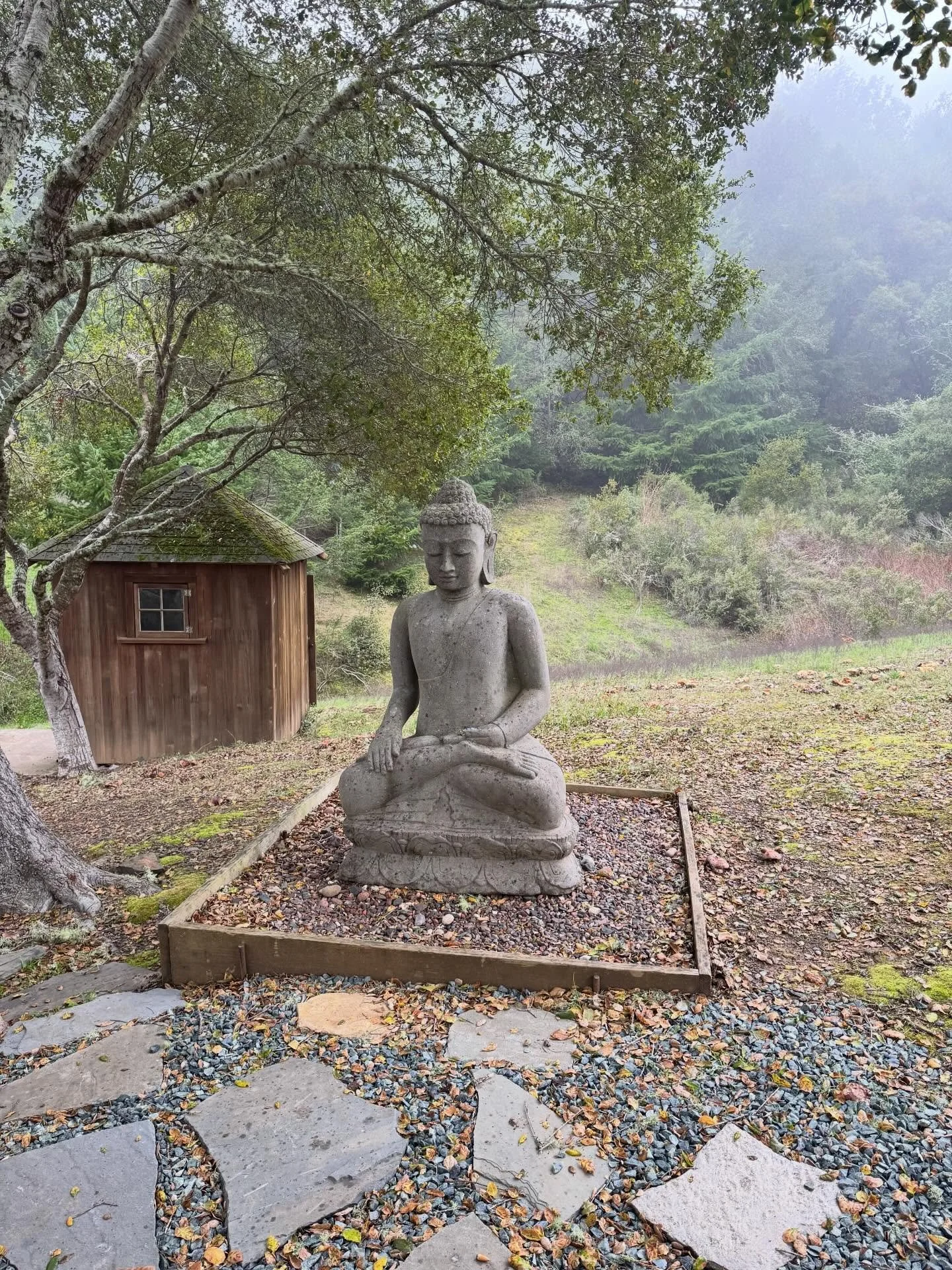 An unforgettable week at @spirit_rock disentangling the heart💗 spent a week without my phone, in silence, meditating with 90+ others seeking to connect with their hearts just a little bit more. I&rsquo;m always humbled by the power of group healing.