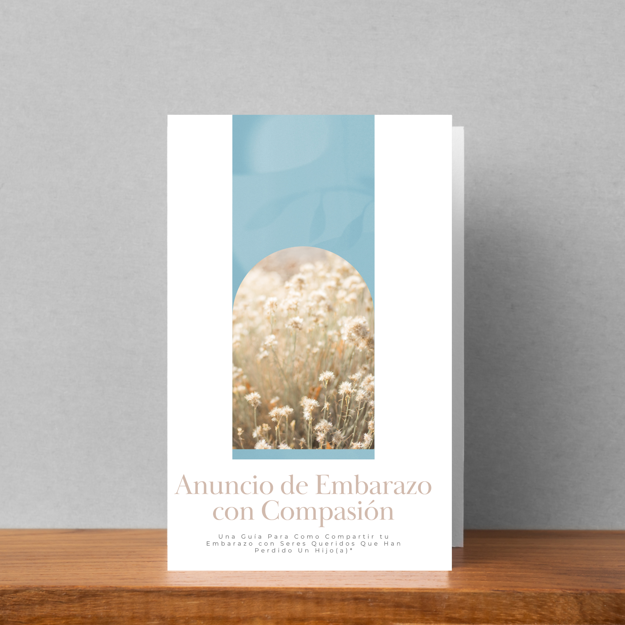 Anuncio de Embarazo con Compasión Brochure