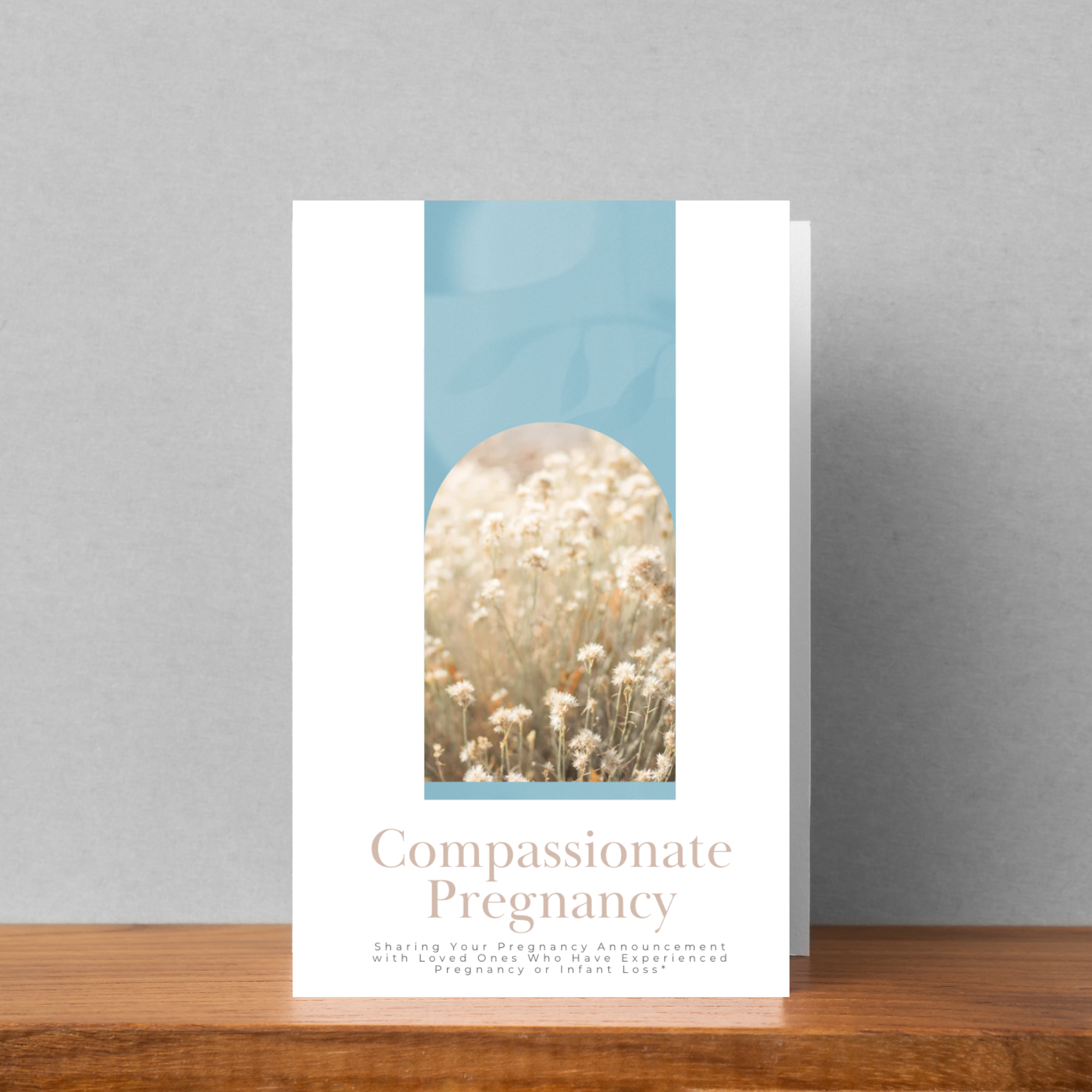 Compassionate Pregnancy: A Guide for Pregnant Mothers with Friends Who Have Lost a Child