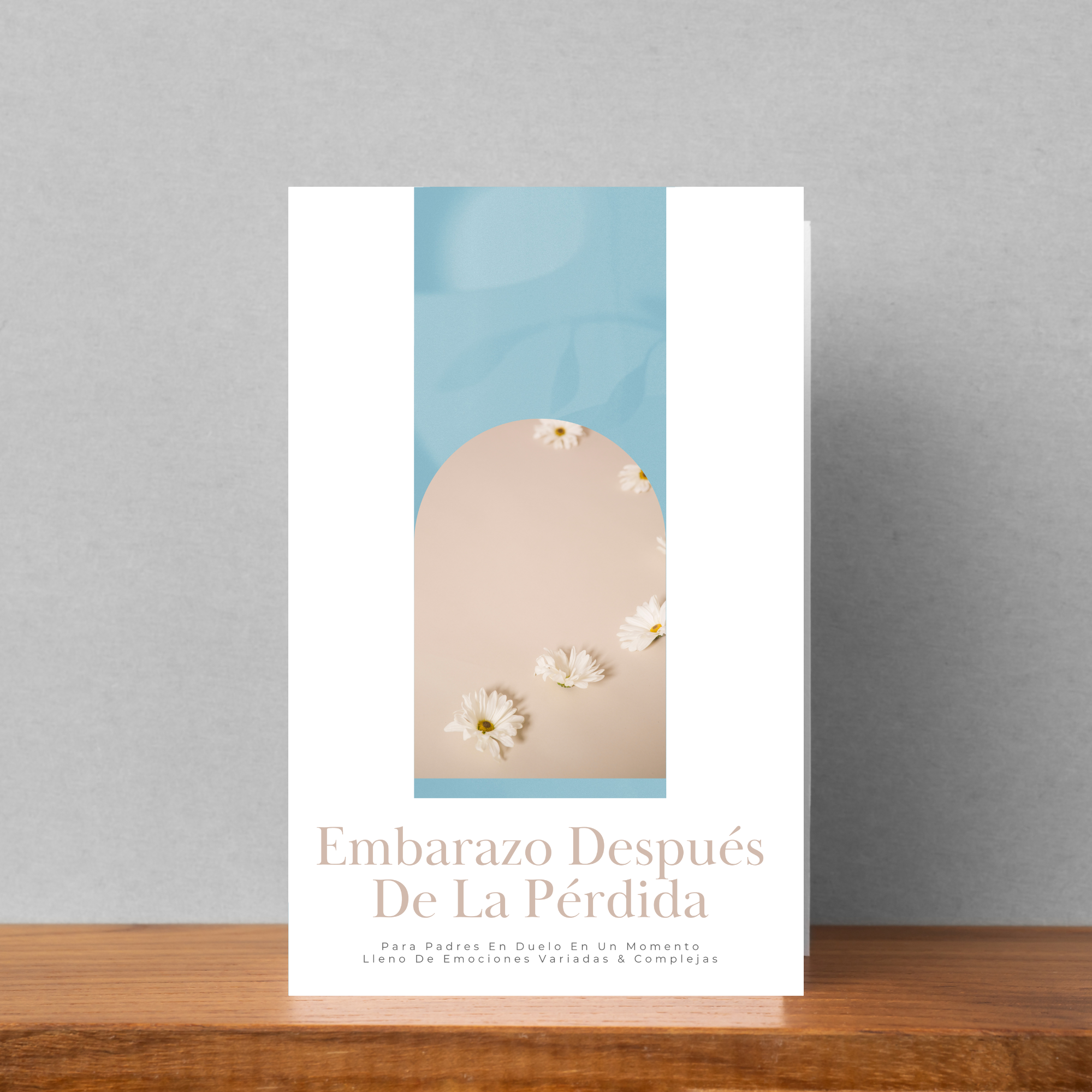 Embarazo Después De La Pérdida Brochure