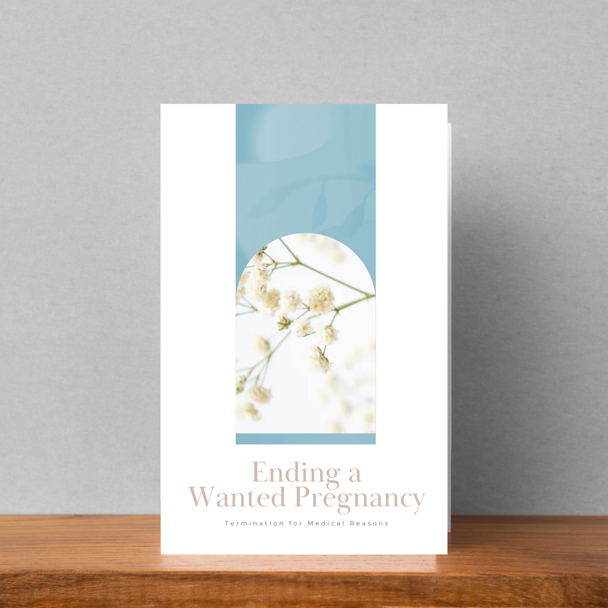 Ending a Wanted Pregnancy (TFMR) Brochure