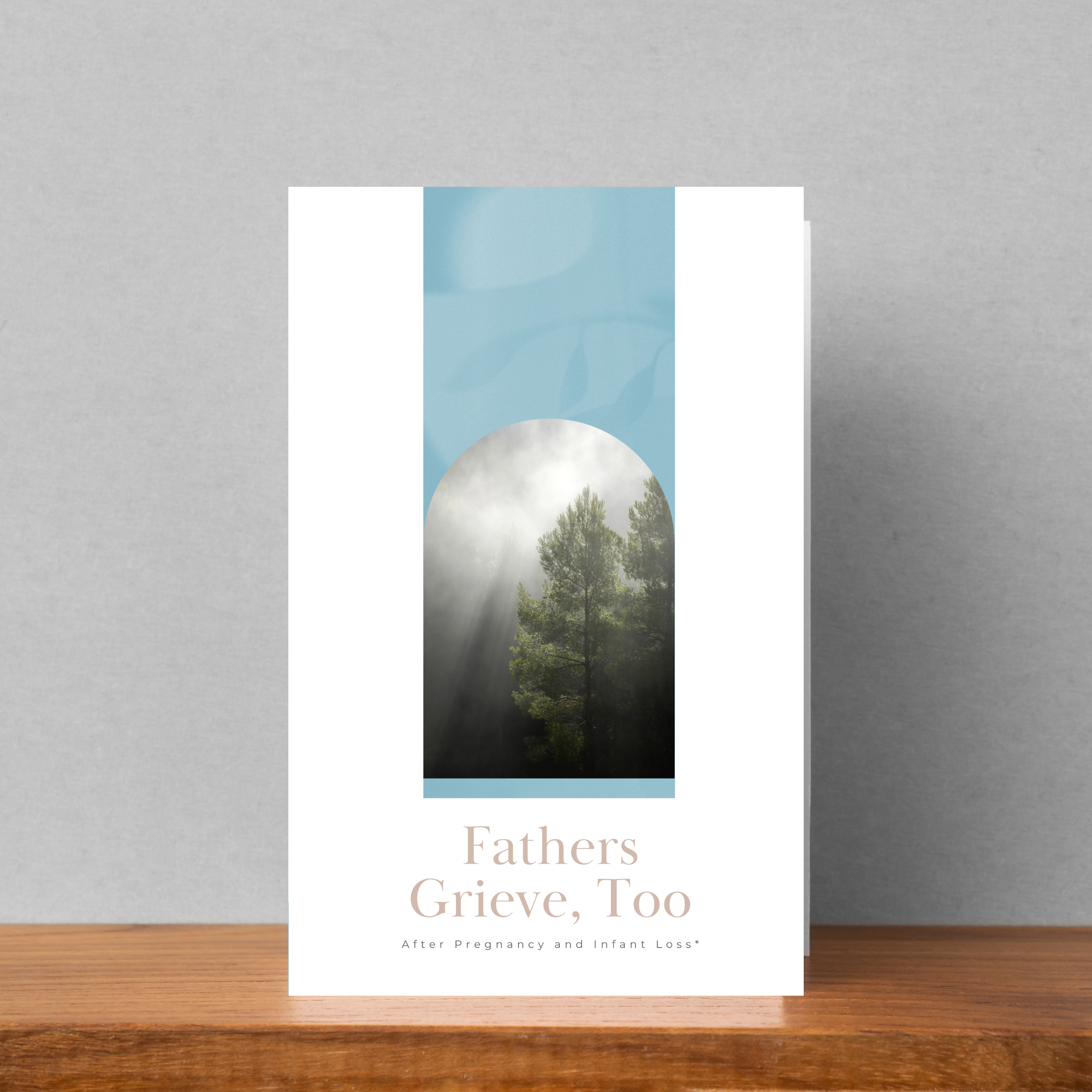 Fathers Grieve, Too Brochure