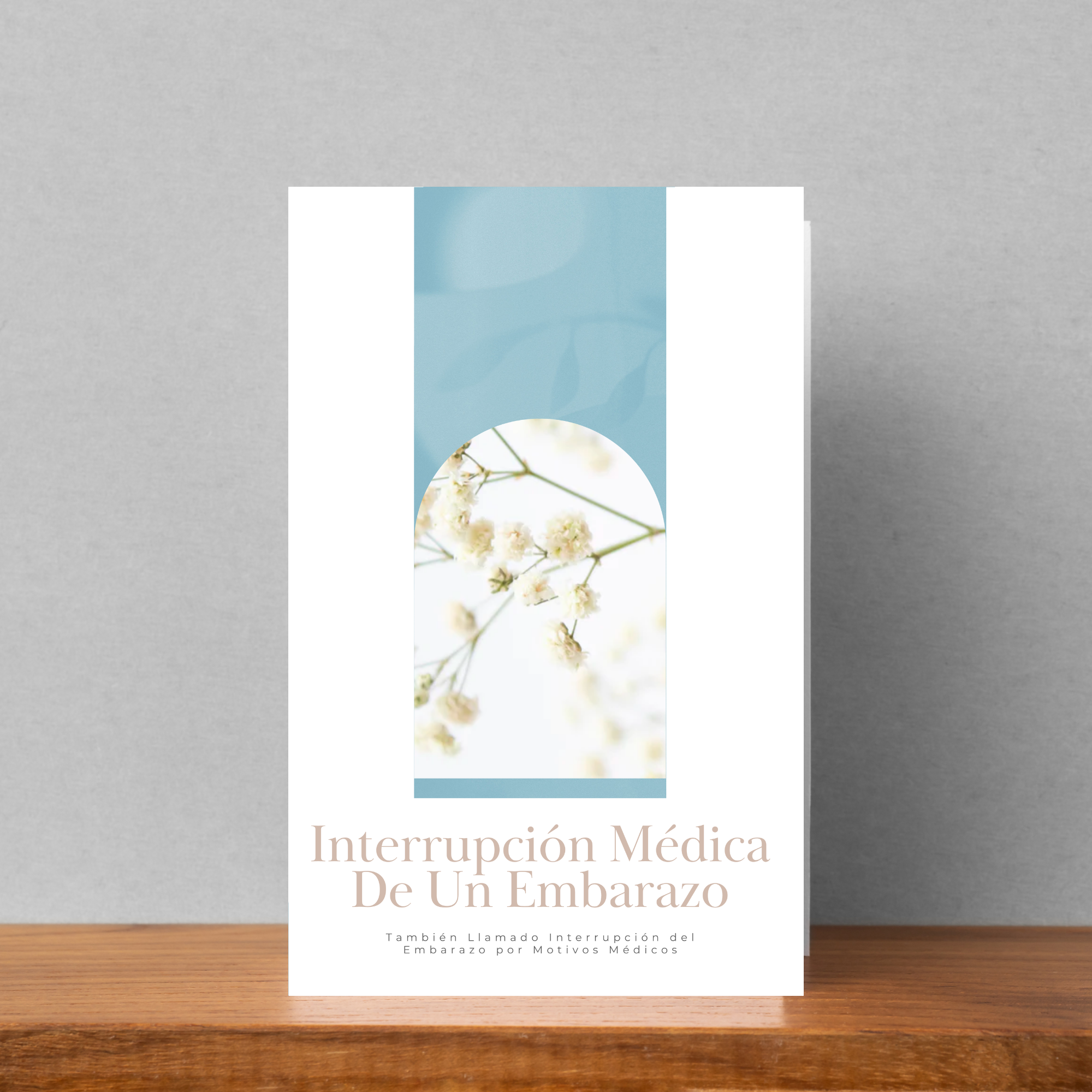 Interrupción Médica De Un Embarazo Brochure
