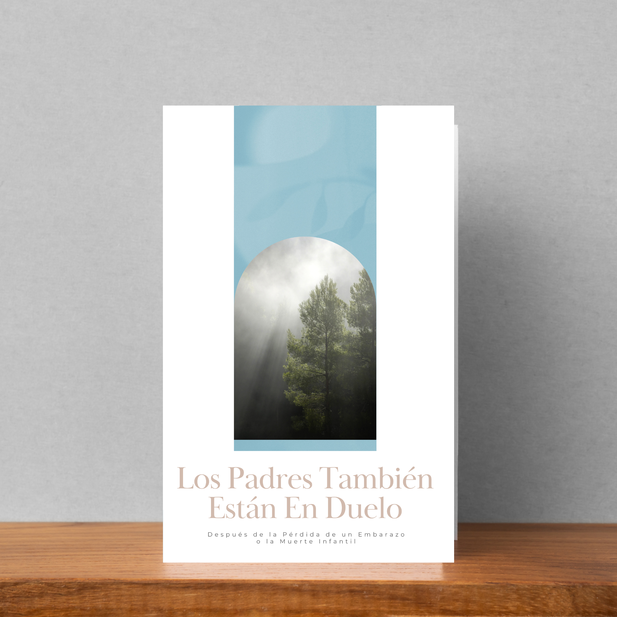 Los Padres También Están En Duelo Brochure