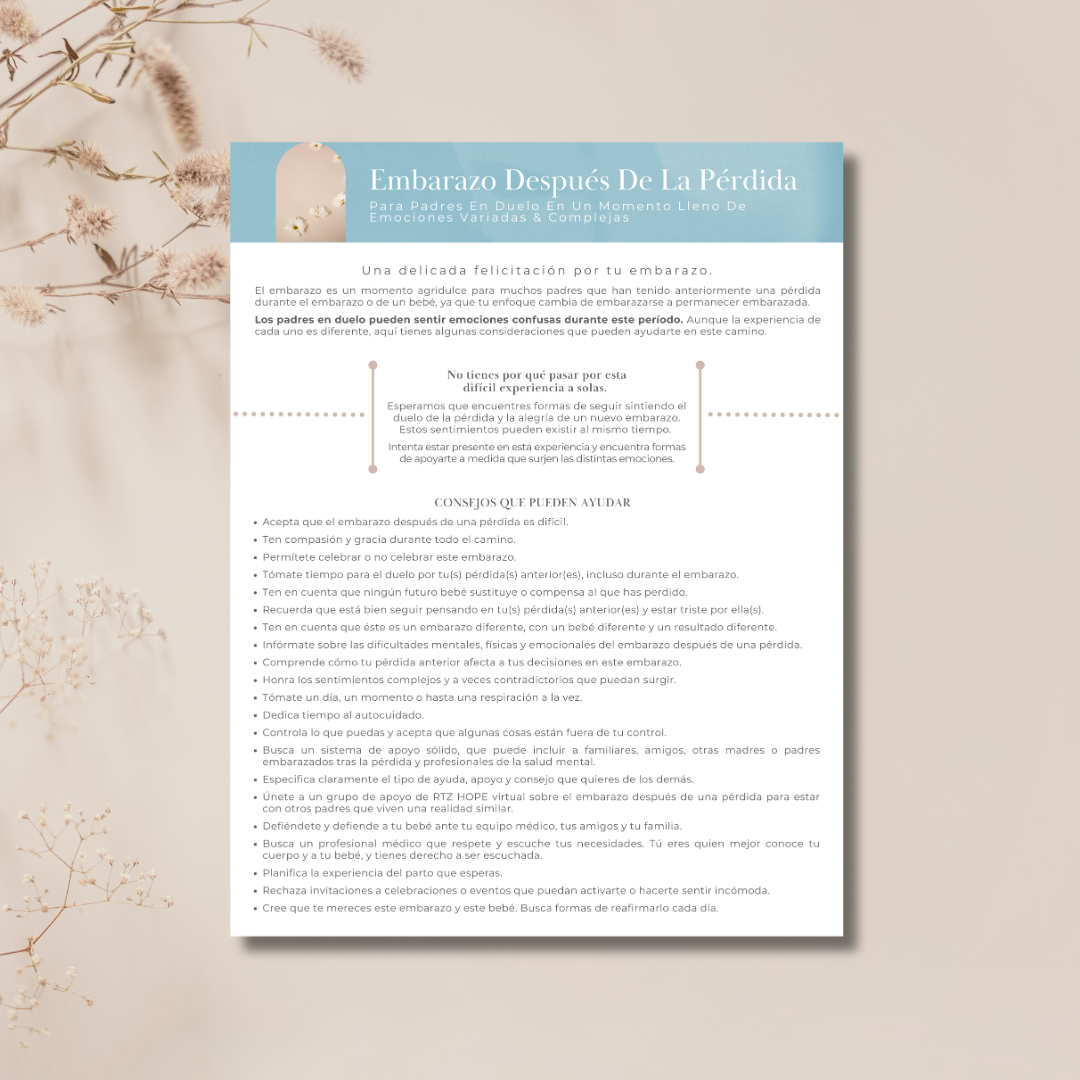 Embarazo Después De La Pérdida Digital PDF