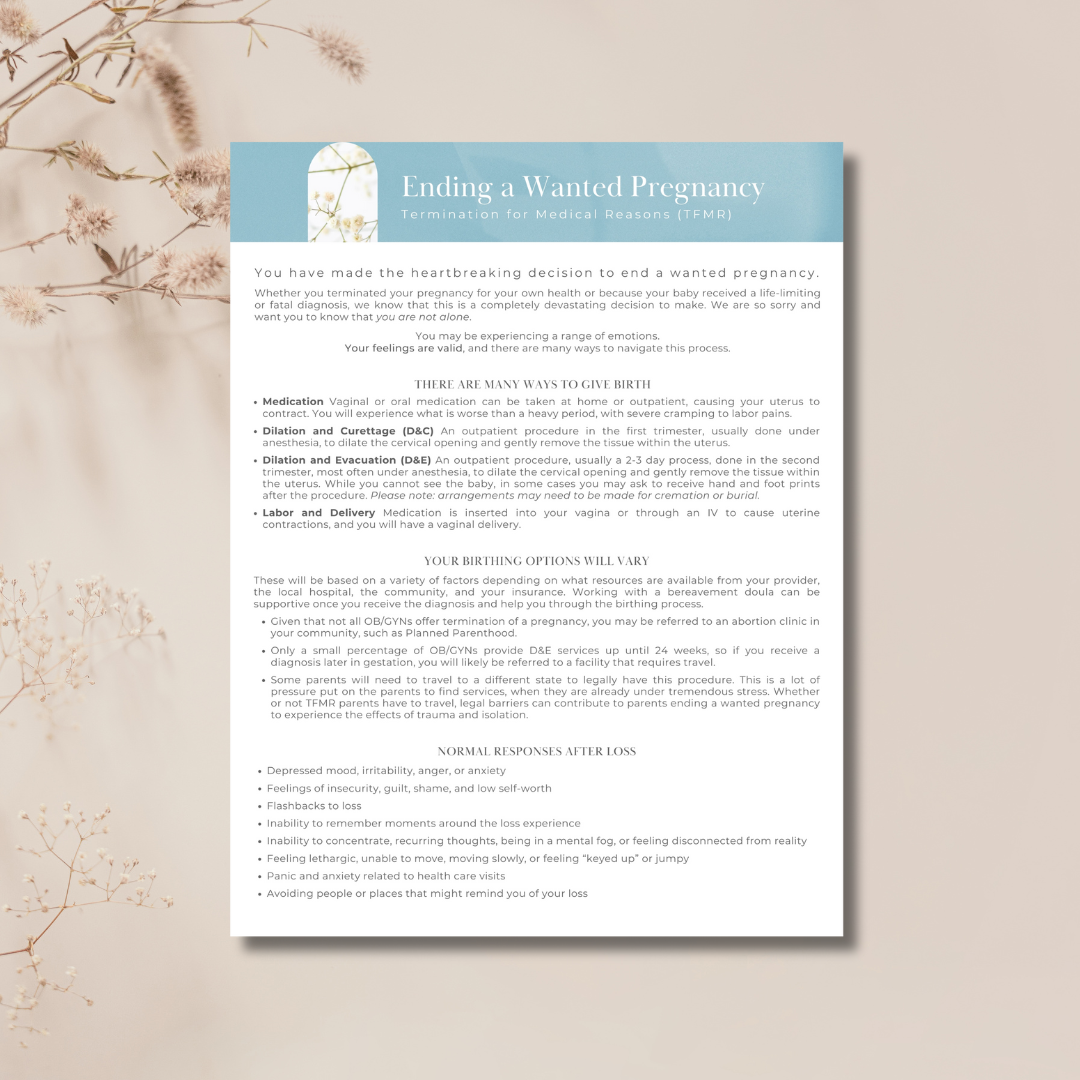 Ending a Wanted Pregnancy Digital PDF