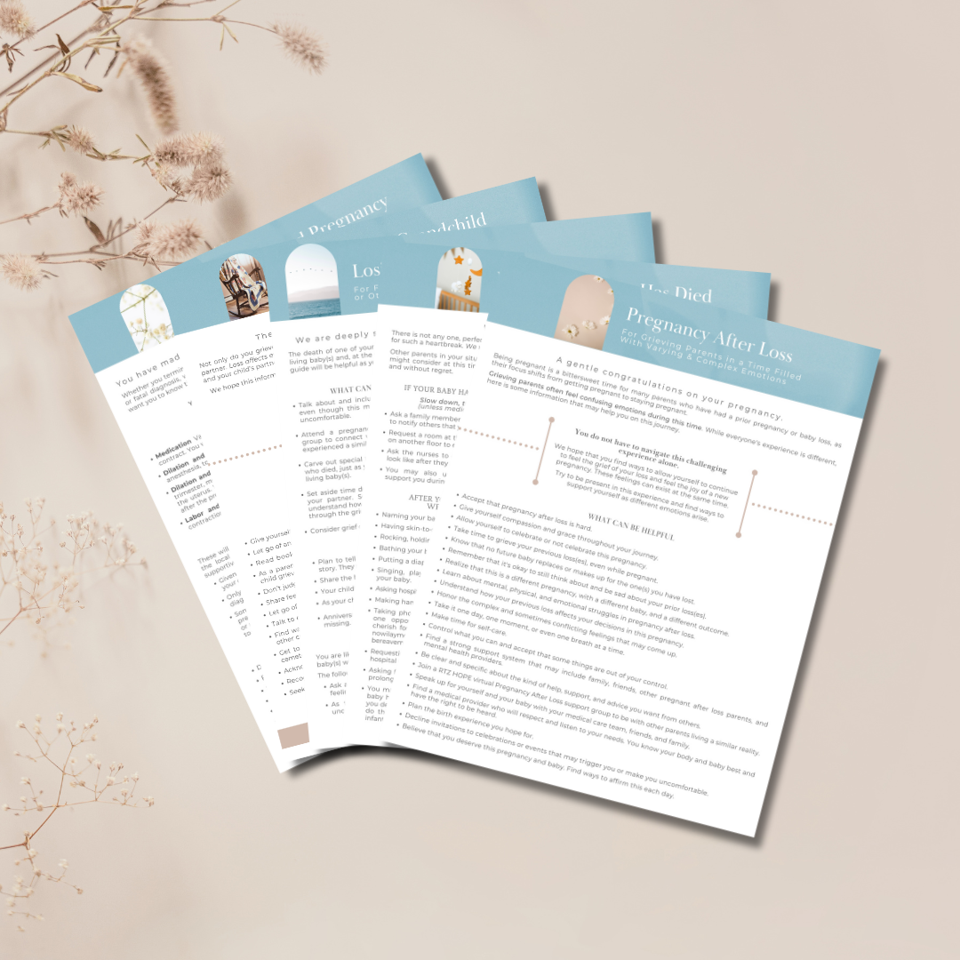Set of 13 Digital PDF Guides