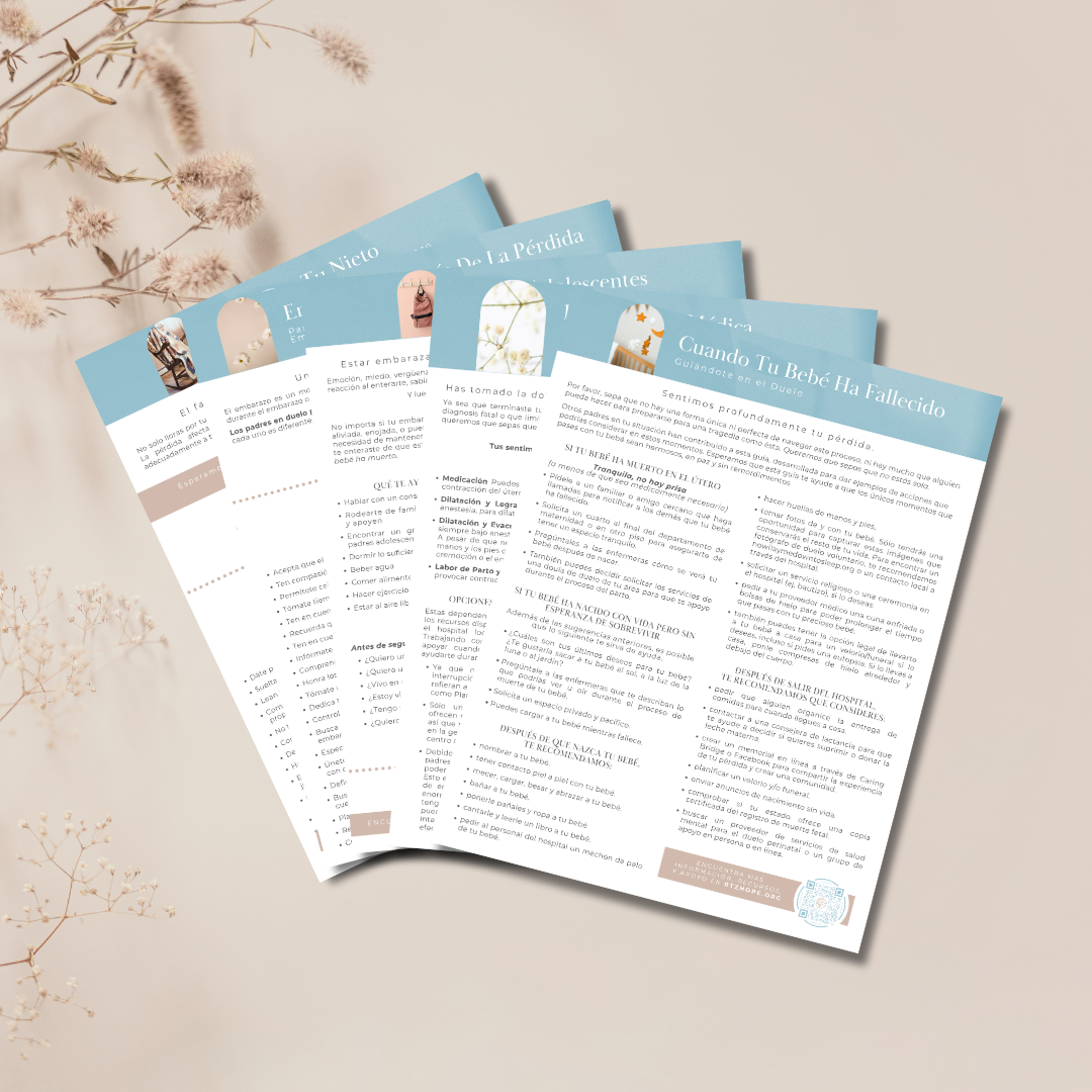 Set of 13 Spanish Digital PDF Guides