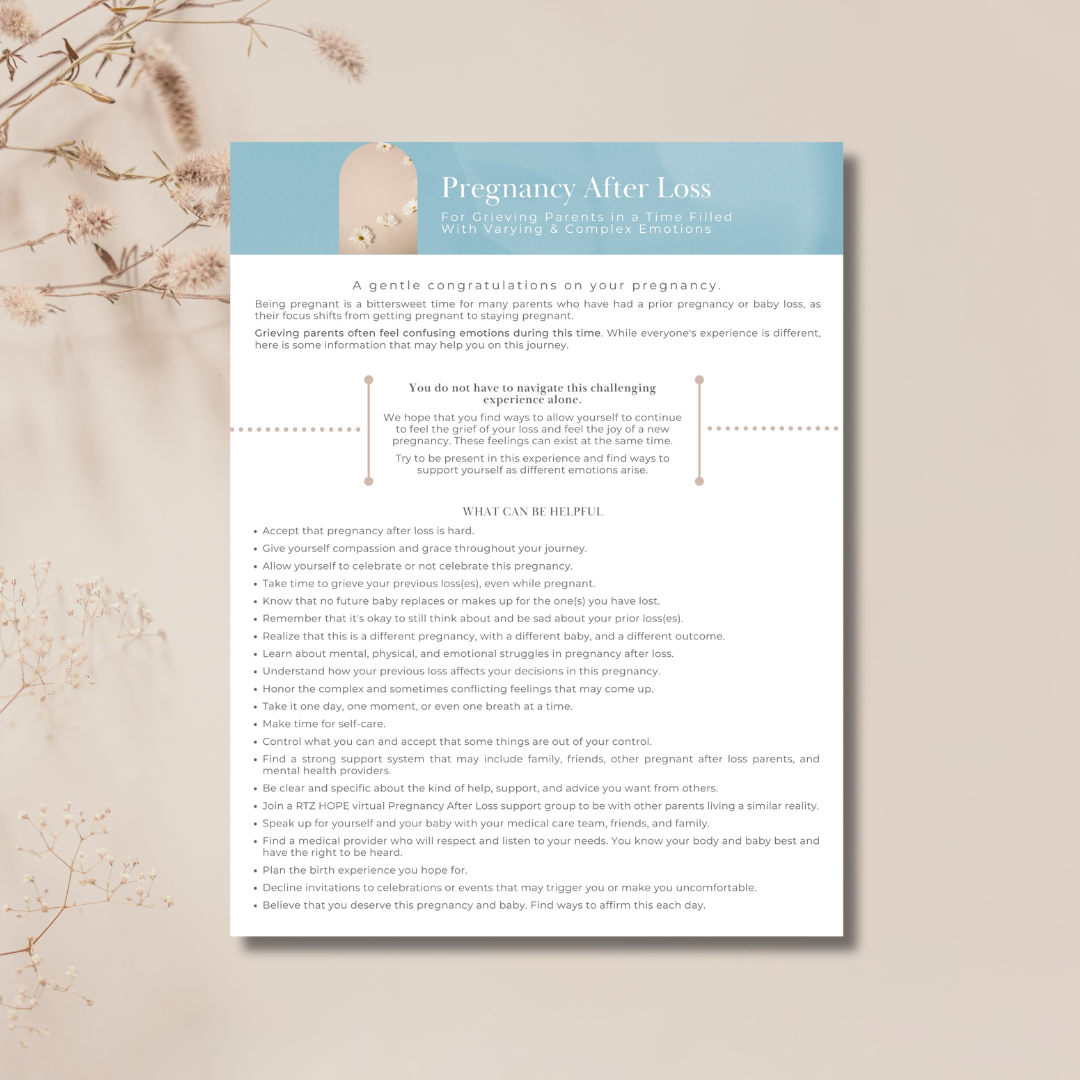 Pregnancy After Loss (PAL) Digital PDF