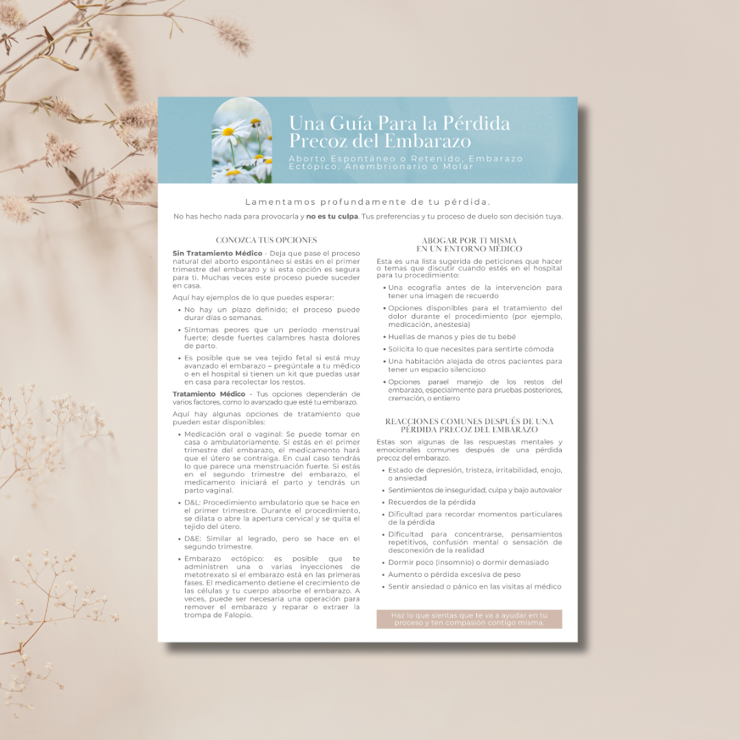 Una Guía Para la Pérdida Precoz del Embarazo Digital PDF