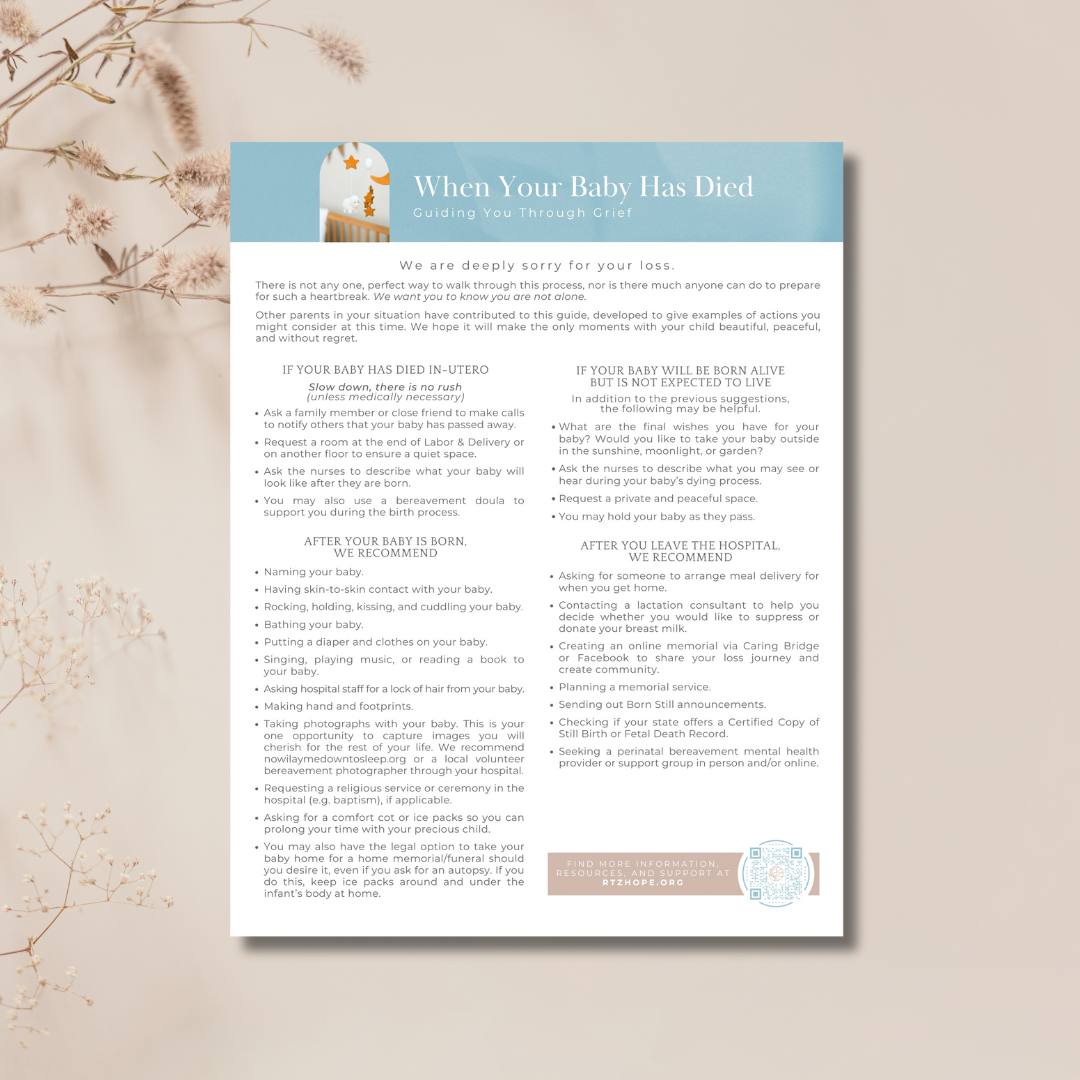 When Your Baby Has Died: Guiding You Through Grief Digital PDF