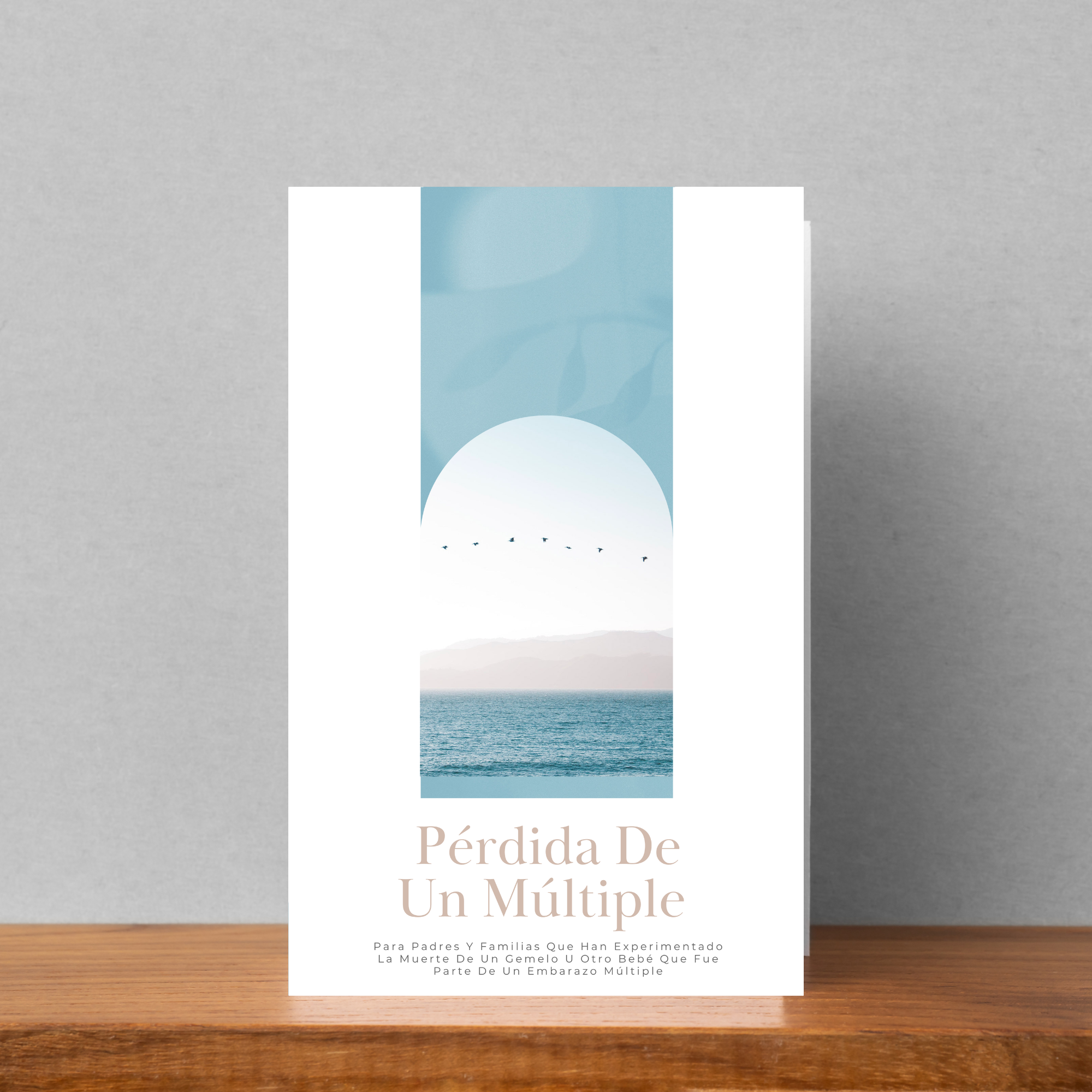 Pérdida De Un Múltiple Brochure