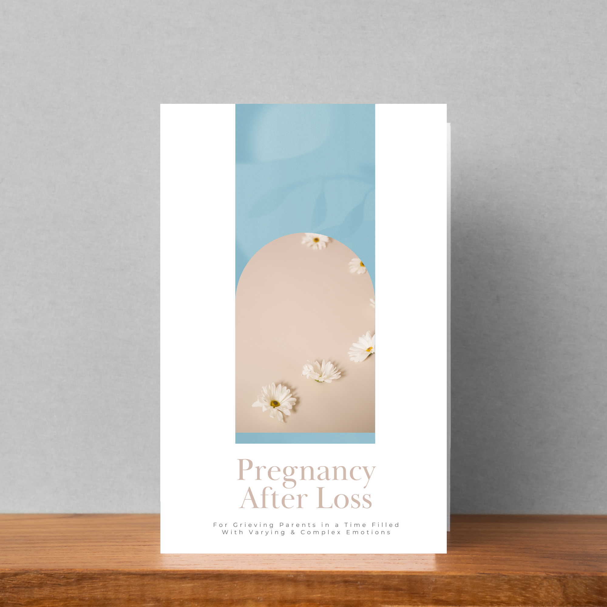Pregnancy After Loss Brochure