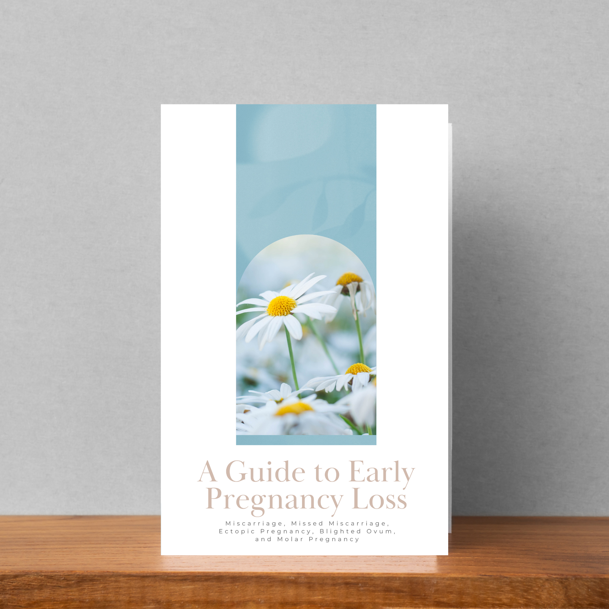 A Guide to Early Pregnancy Loss (EPL) Brochure