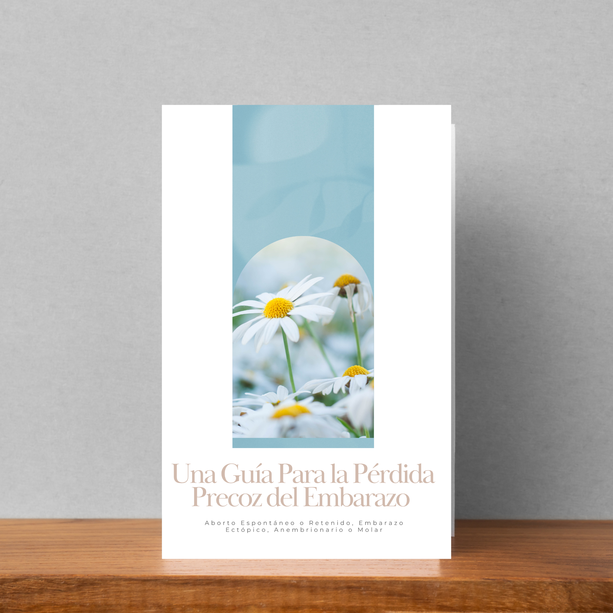 Una Guía Para la Pérdida Precoz del Embarazo Brochure