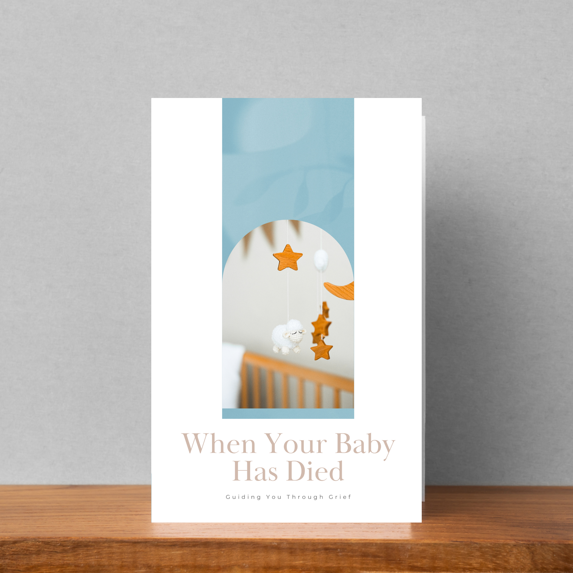 When Your Baby Has Died: Guiding You Through Grief Brochure