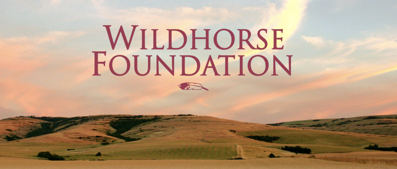 Return to Zero: Hope Receives Grant from the Wildhorse Foundation to Expand the Eastern Oregon Perinatal Loss Collaborative