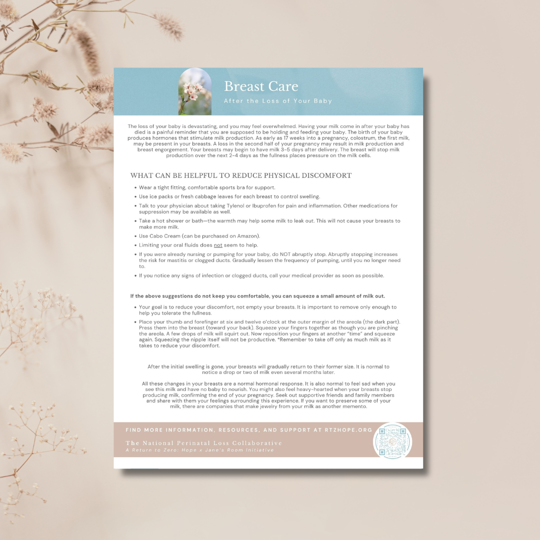 Squarespace Digital Download Brochure PDF graphics.png