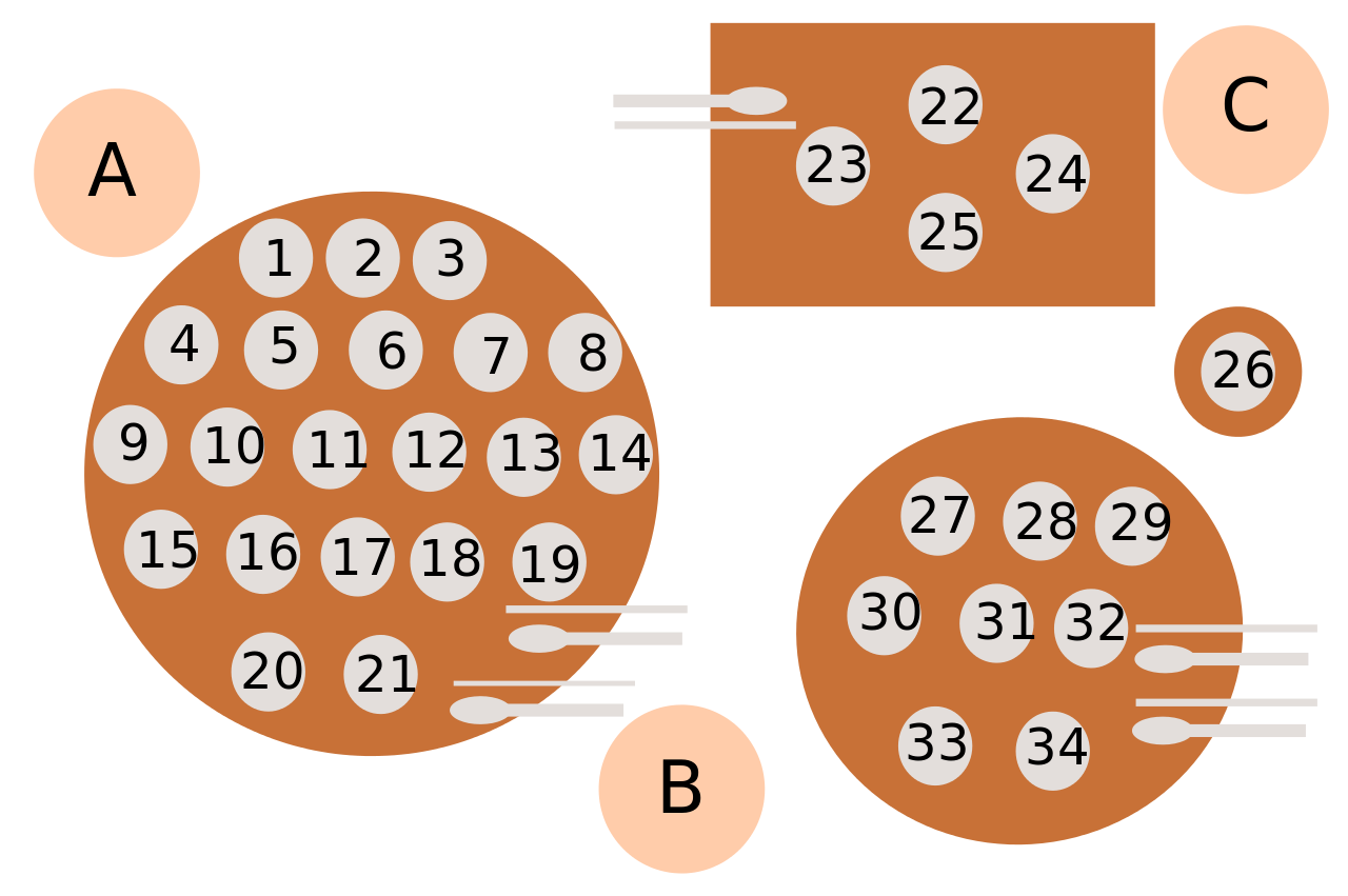Surasang dining placement