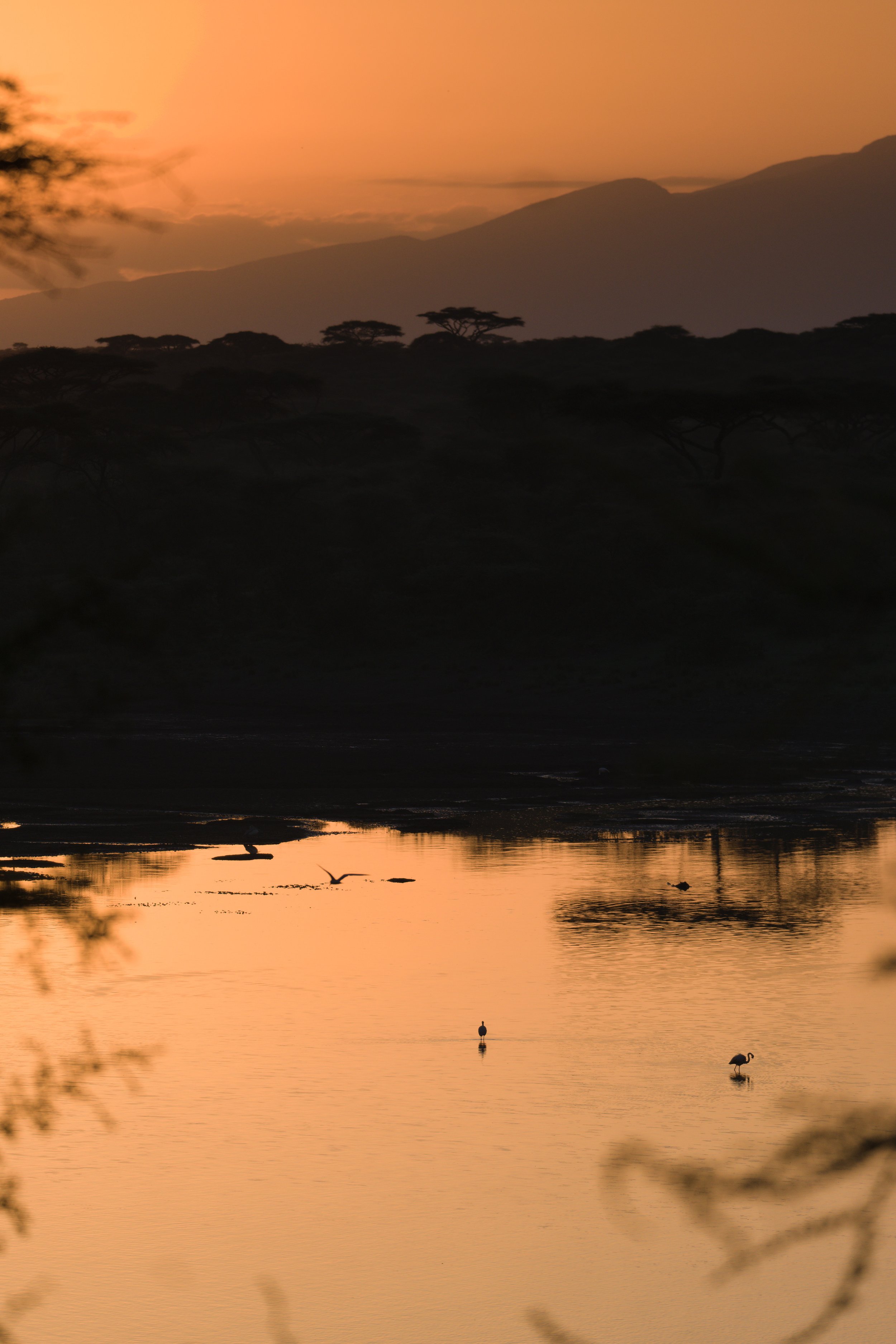SOLEIL PAYSAGE.jpg