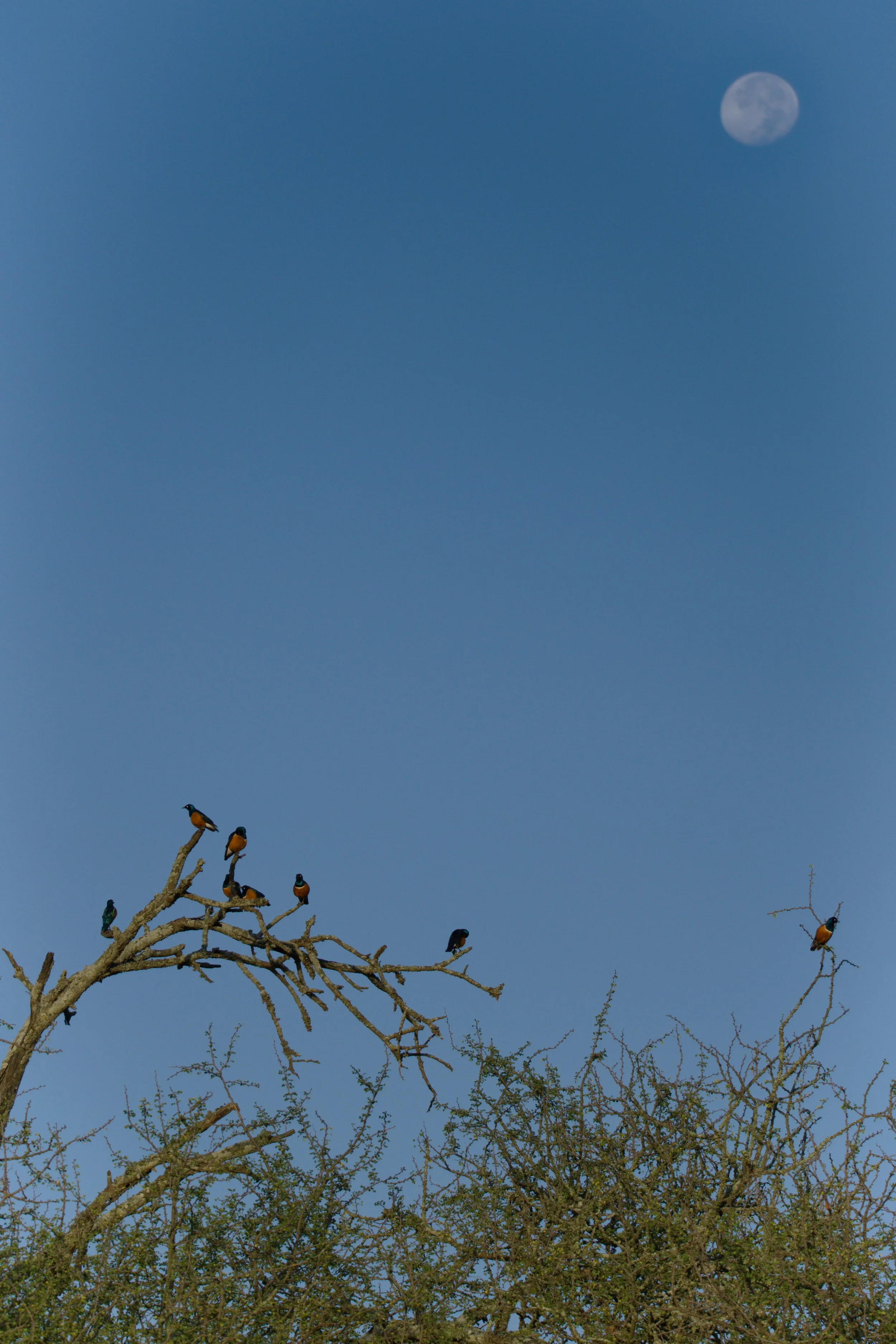 DSCF1622.jpg