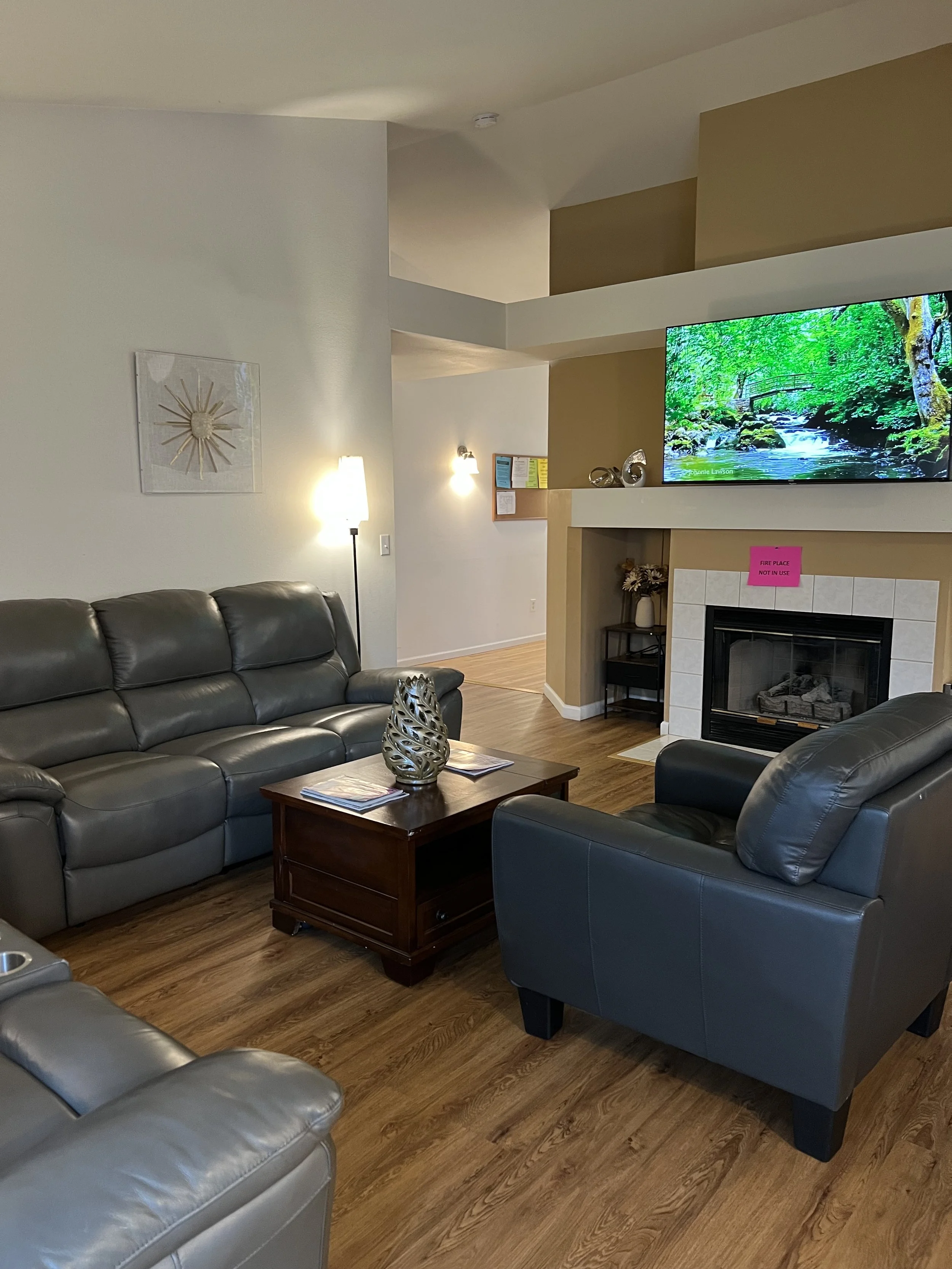 NEIGHBORS AFH INC Living room with gray leather sofas, a wooden coffee table, a fireplace, a TV displaying a nature scene, and various decorations and lighting fixtures.