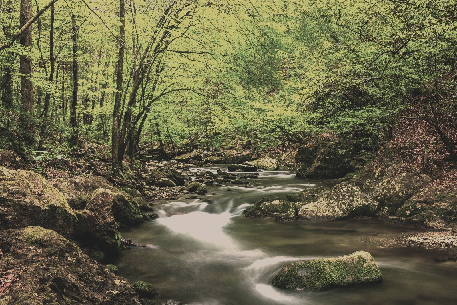 Smoky-Mountains-Little-River-3038-39.jpg