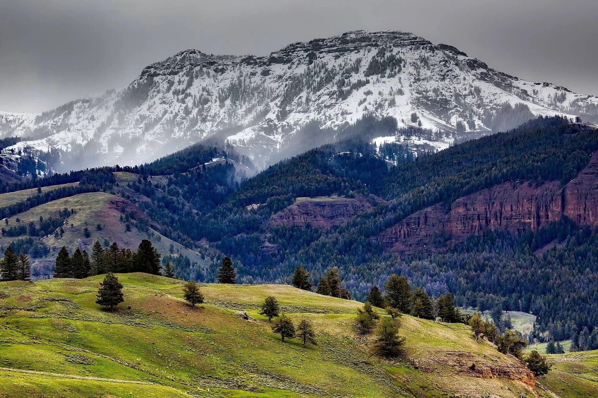 yellowstone_national_park_landscape_mountains_forest.jpg