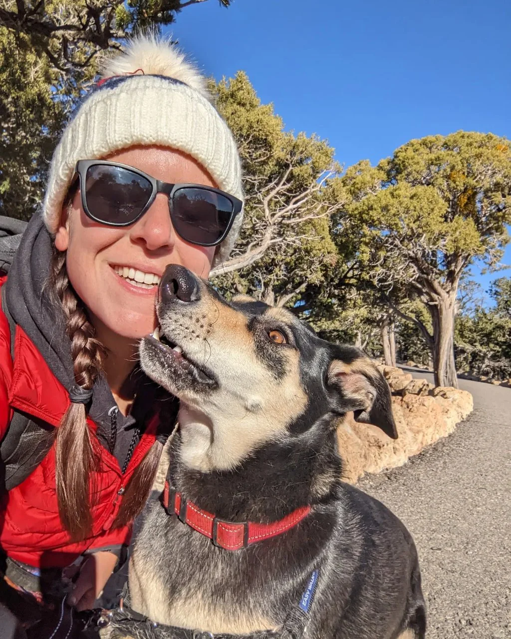 Pet Trusts in Estate Planning: Caring for Your Furry Friends When You Are Gone