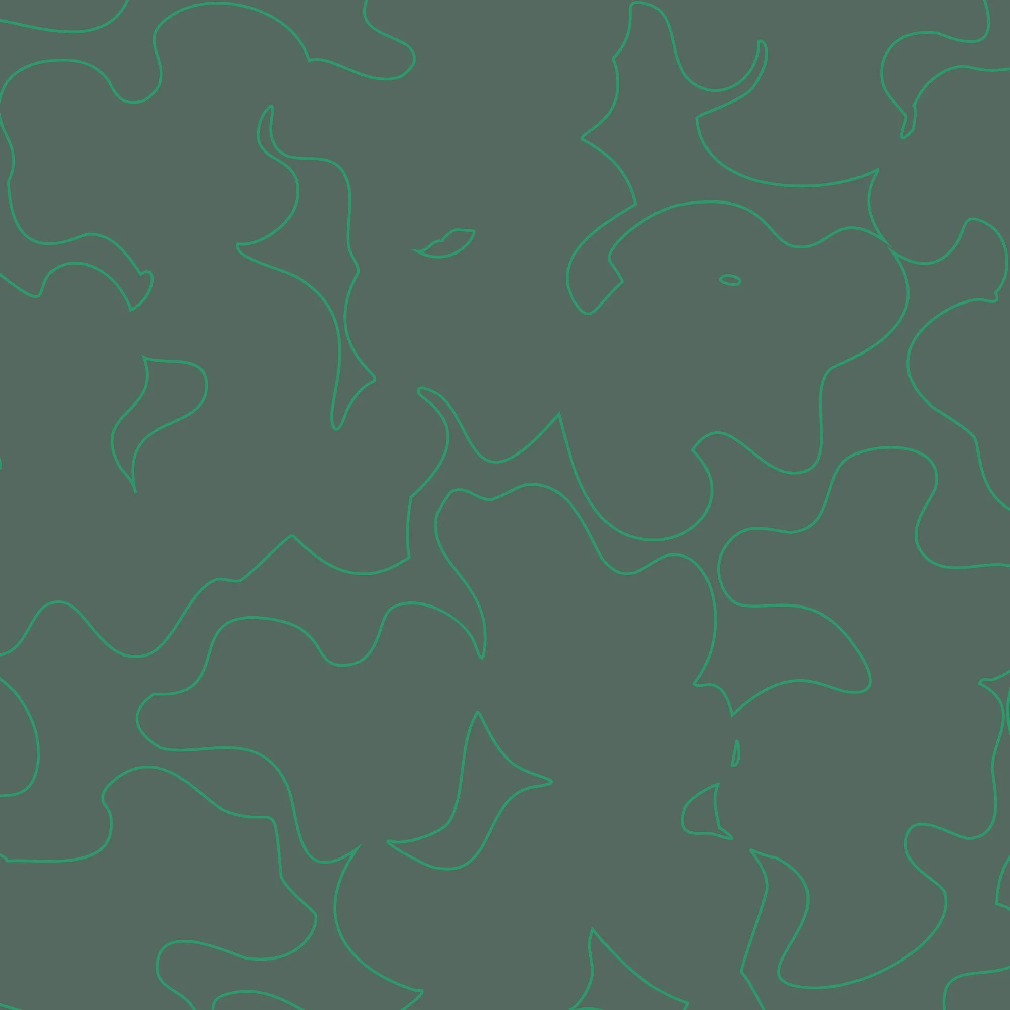 Carved - Turtle ECO