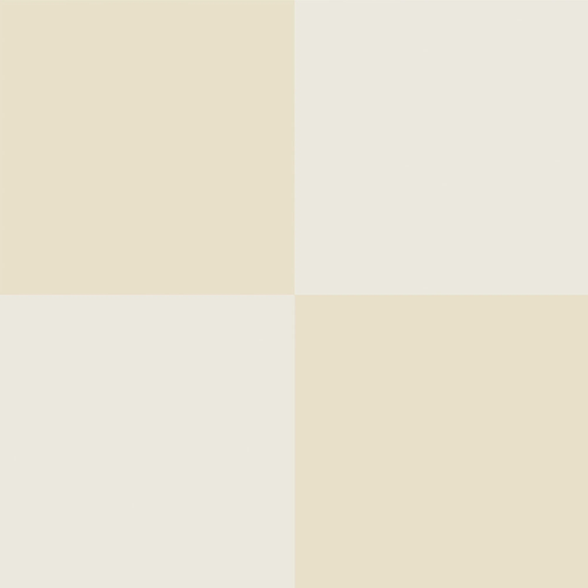 072322-19-02 Bone ECO