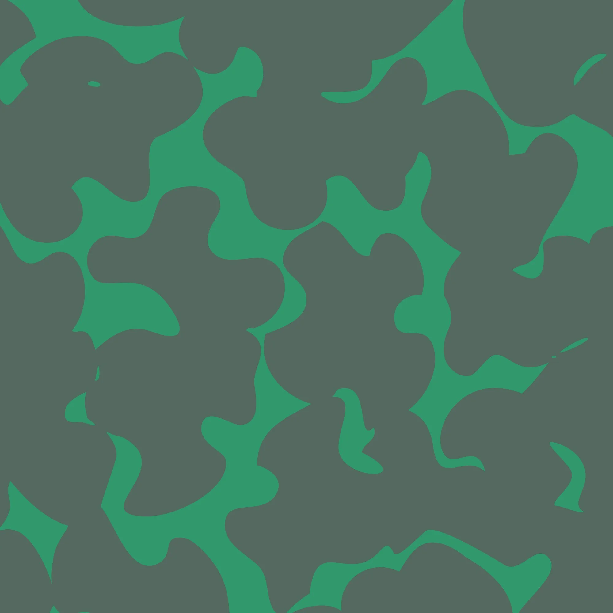 Veil - Turtle ECO