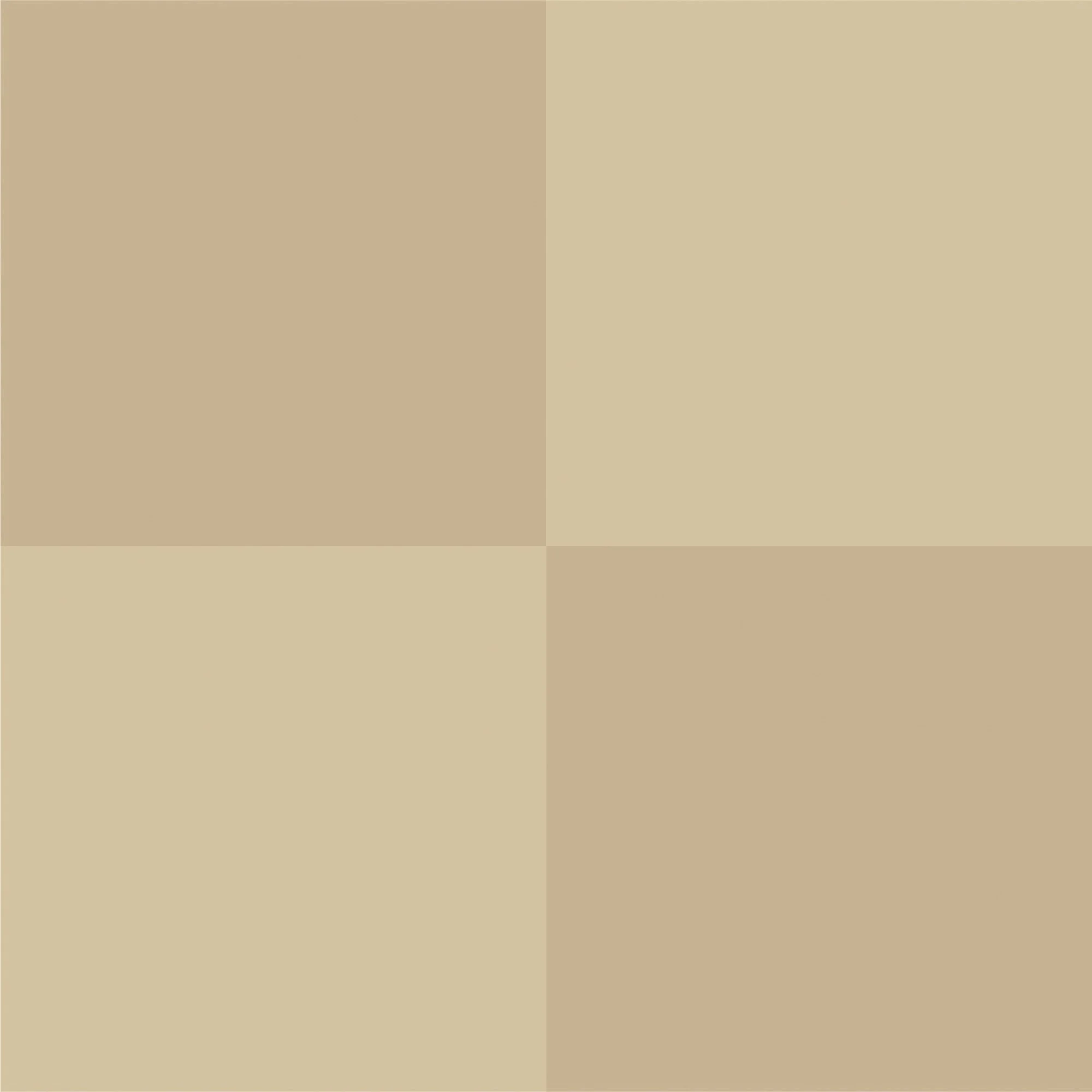 072322-19-04 Sandstone ECO