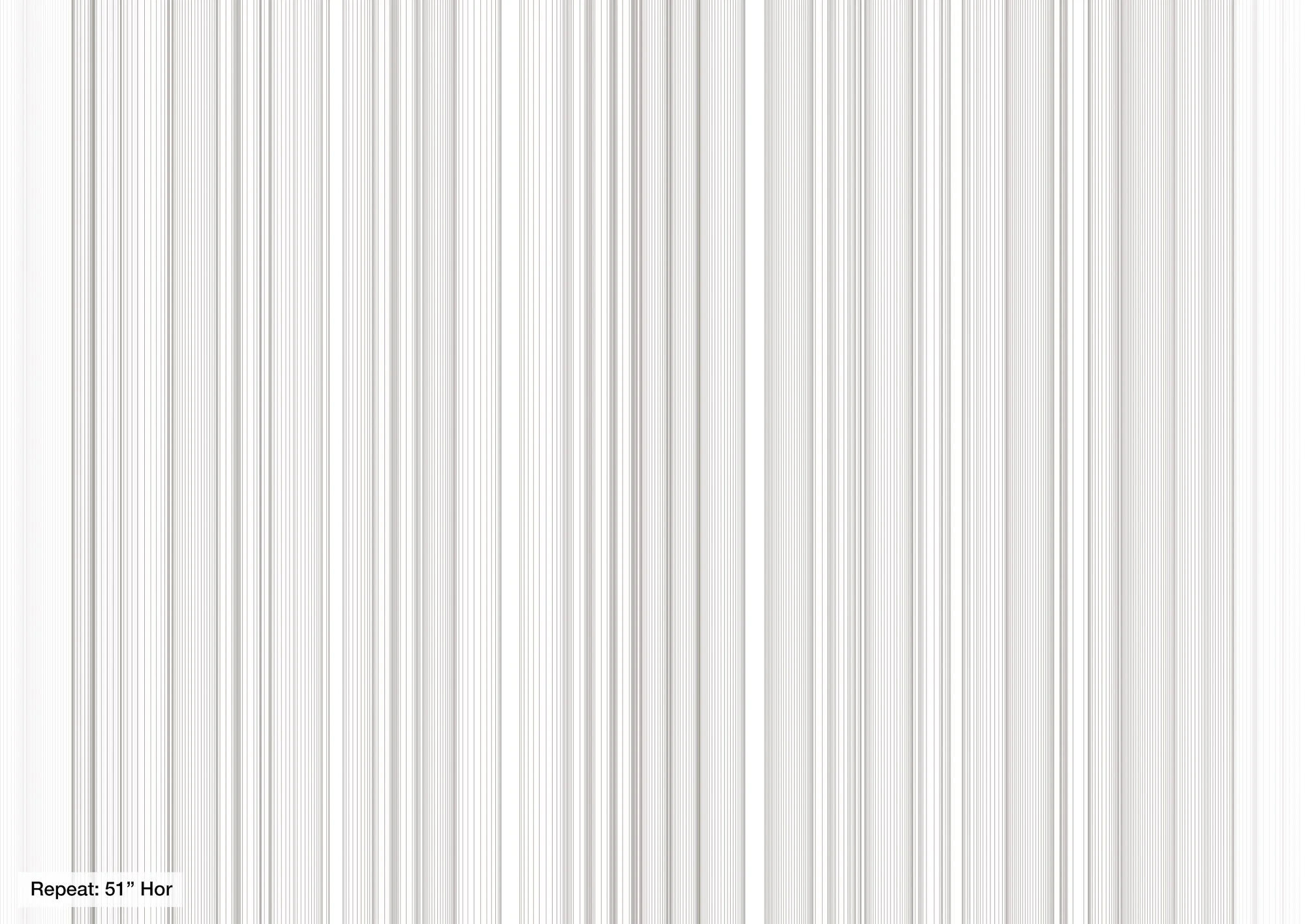 aino-021805-repeat.jpg