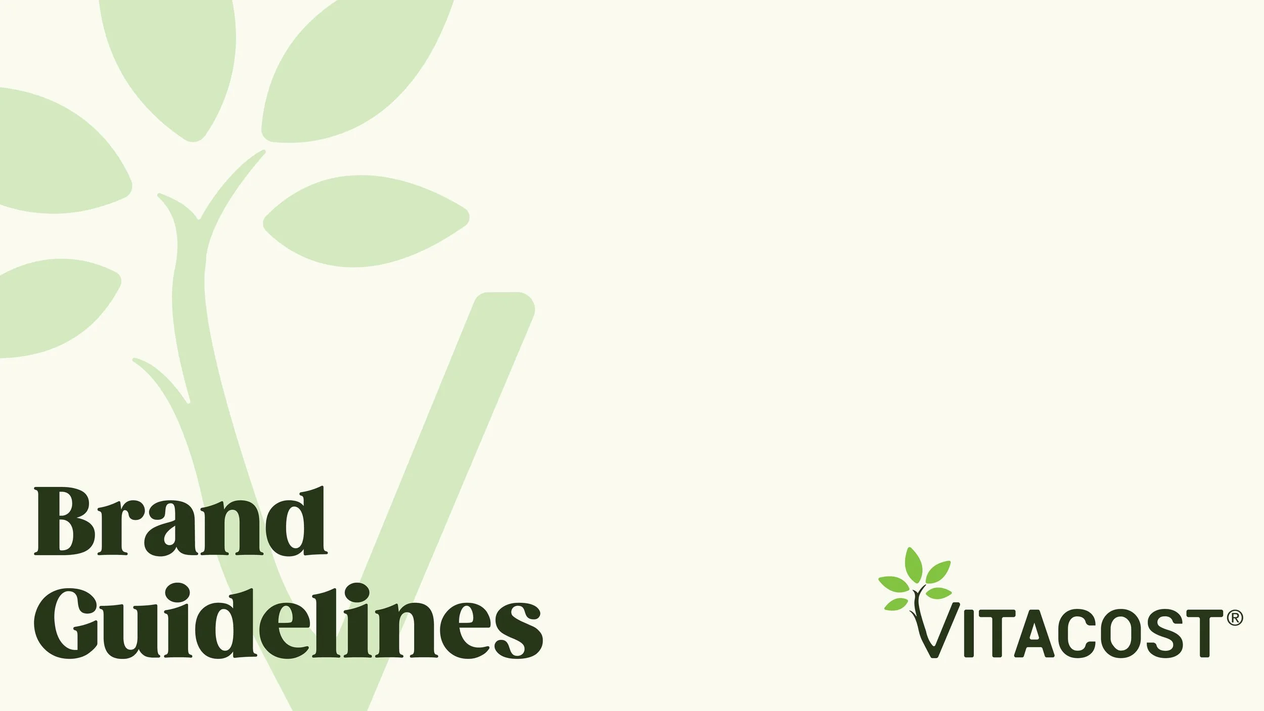 Vitacost_Guideline_Deck-01.jpg