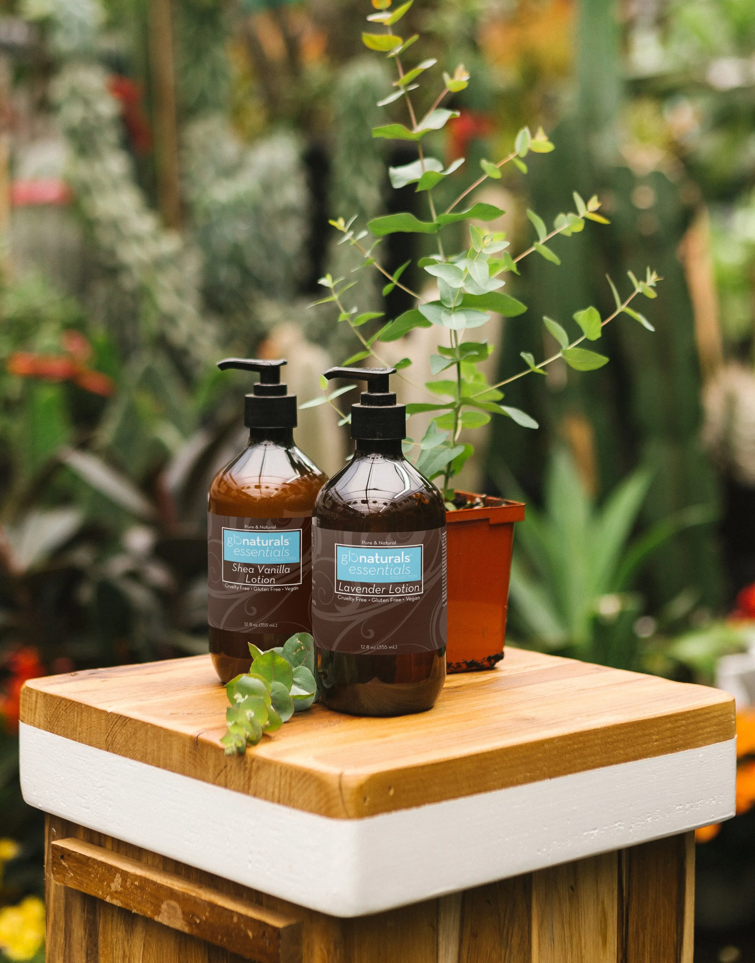 Lotion_Bottles.jpg