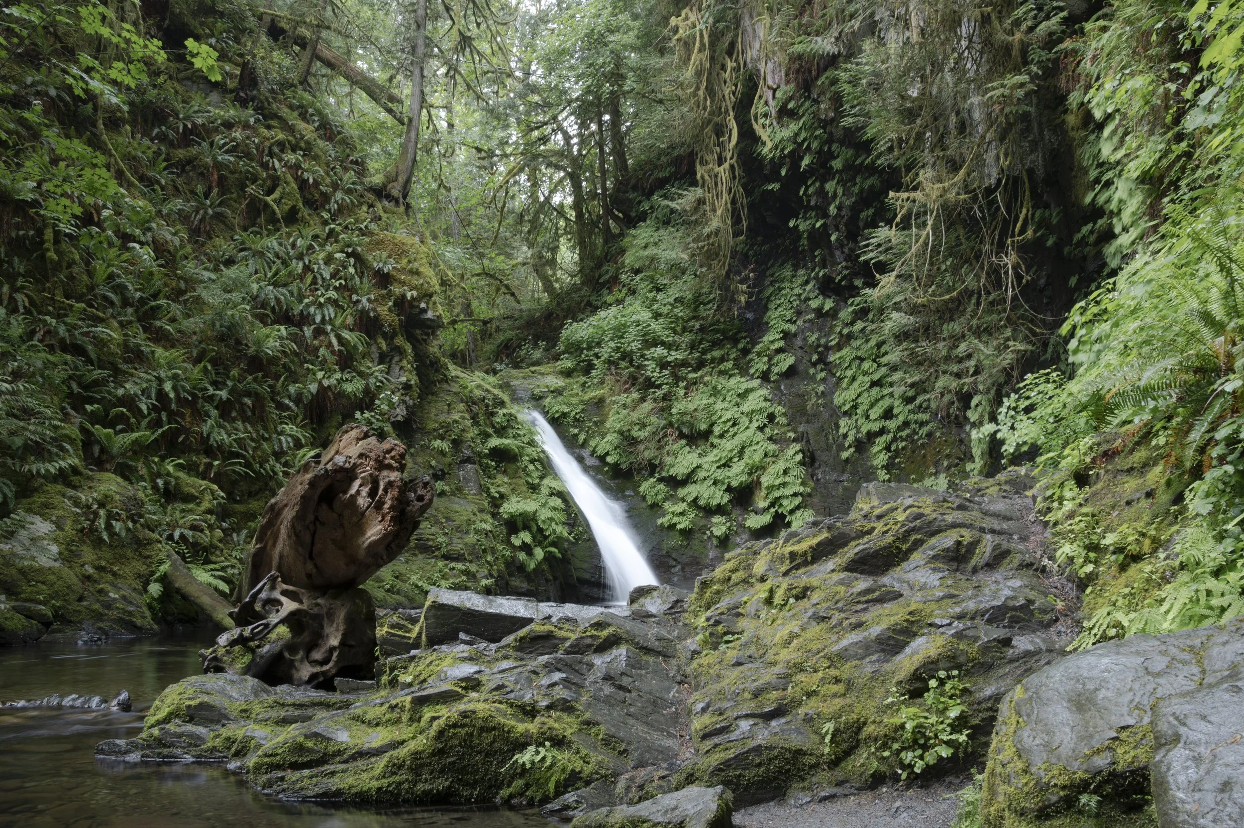 108_ForestWaterfall.jpeg