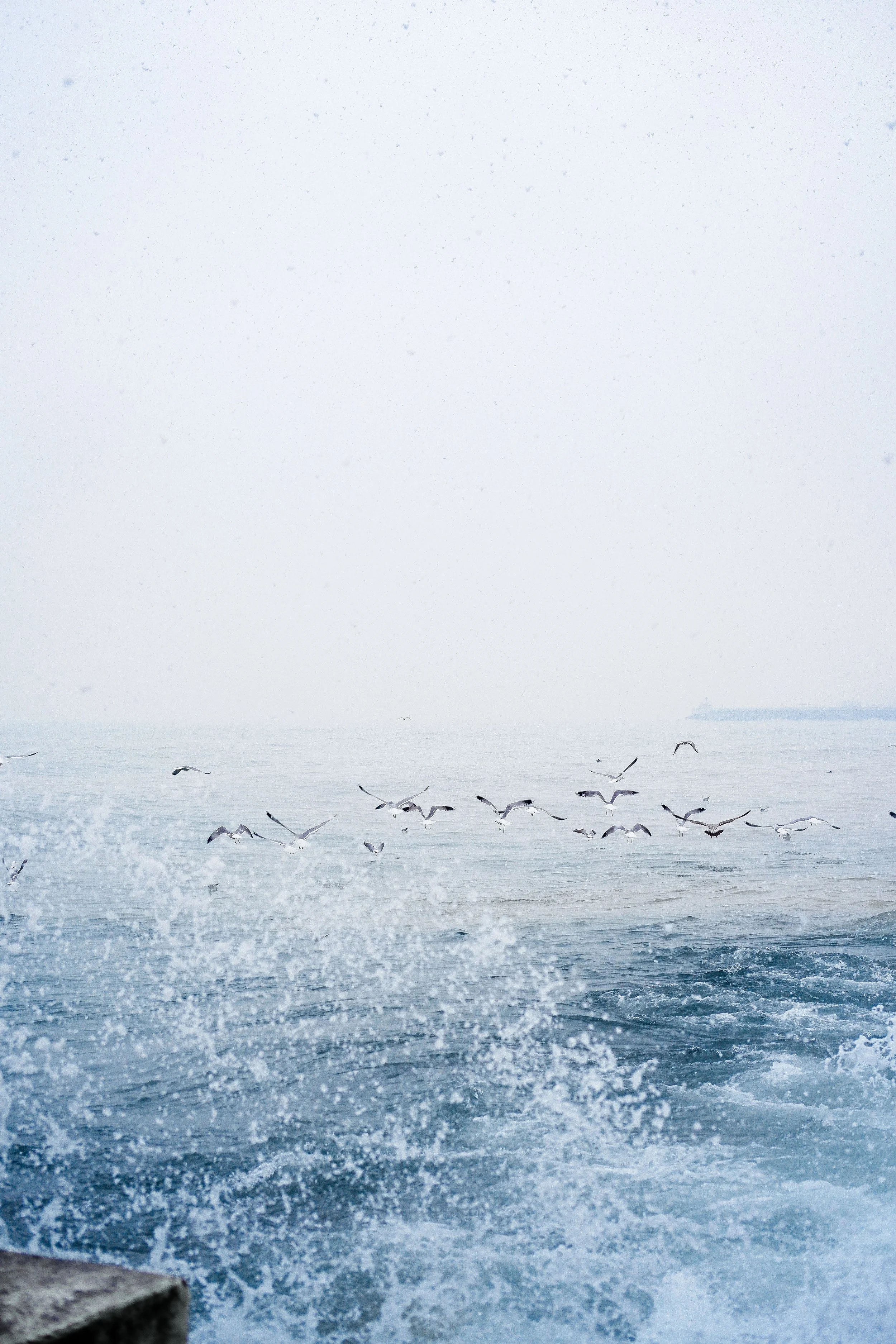 Seagulls flying over waves at the ocean on a foggy day with a distant horizon.