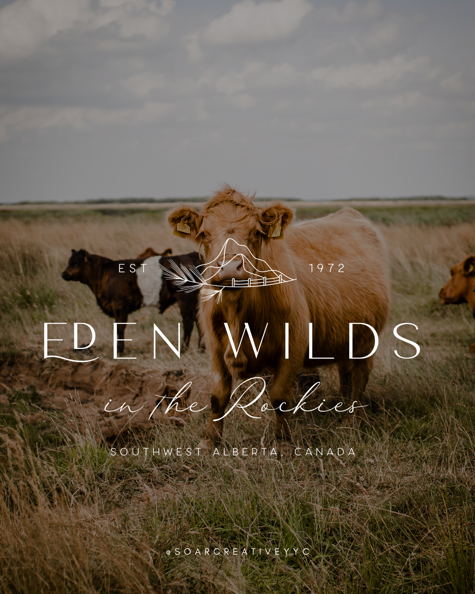 Eden Wilds