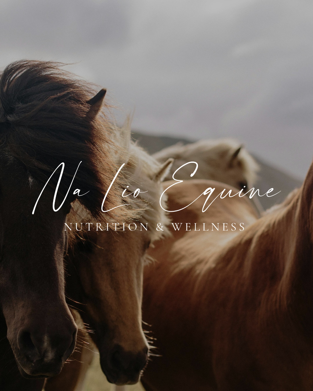 Na Lio Equine Nutrition & Wellness