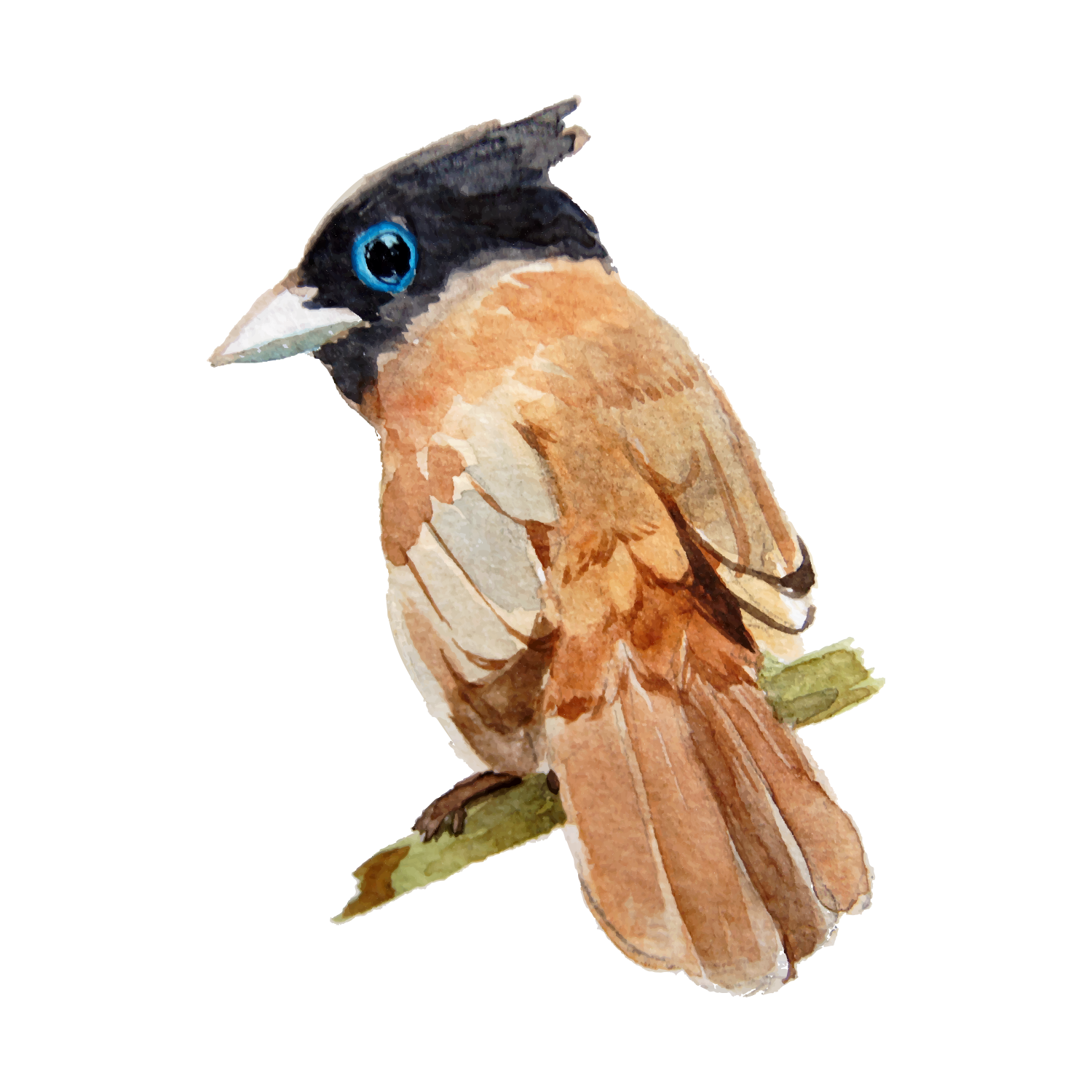 Watercolor painting of a bird on a branch