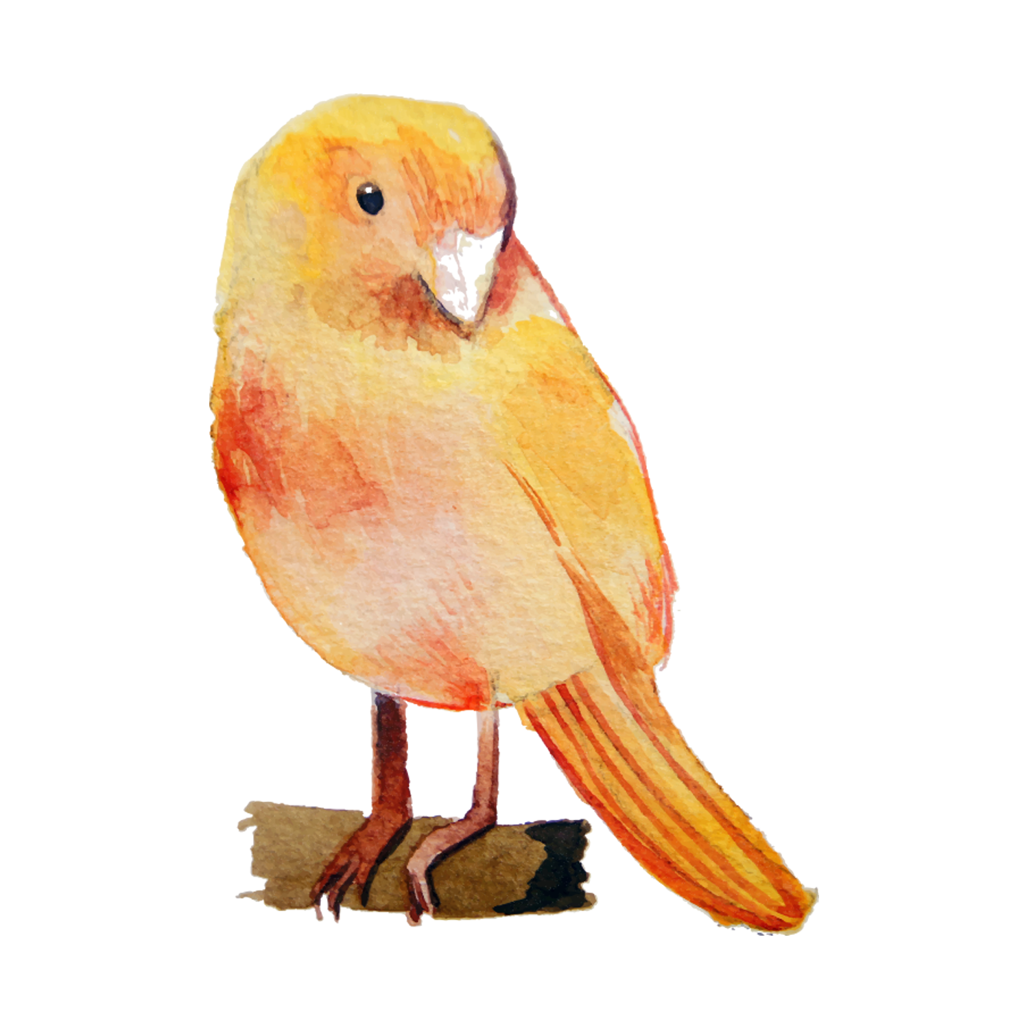 Watercolor painting of a yellow bird on a branch