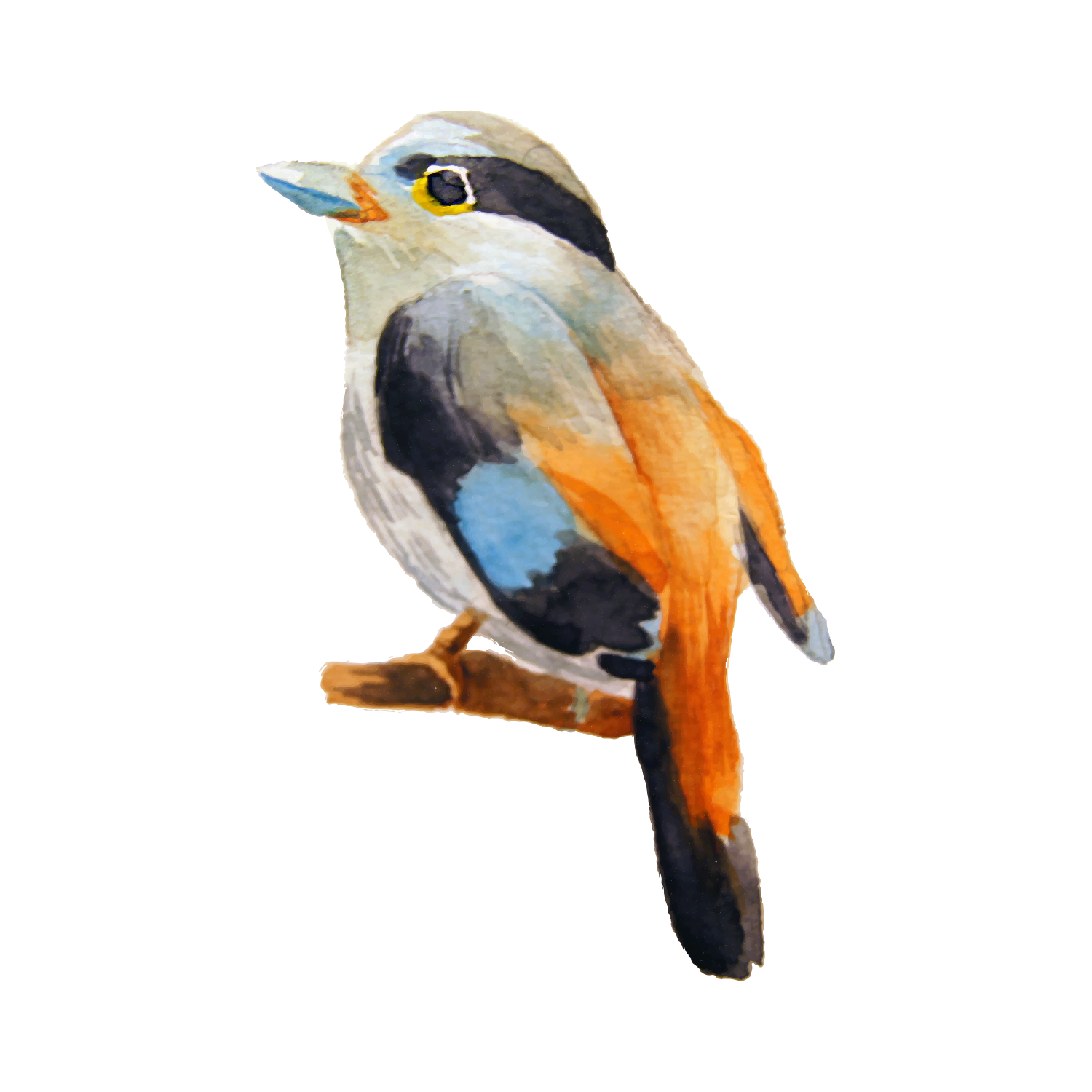 Watercolor painting of a colorful bird perched on a branch