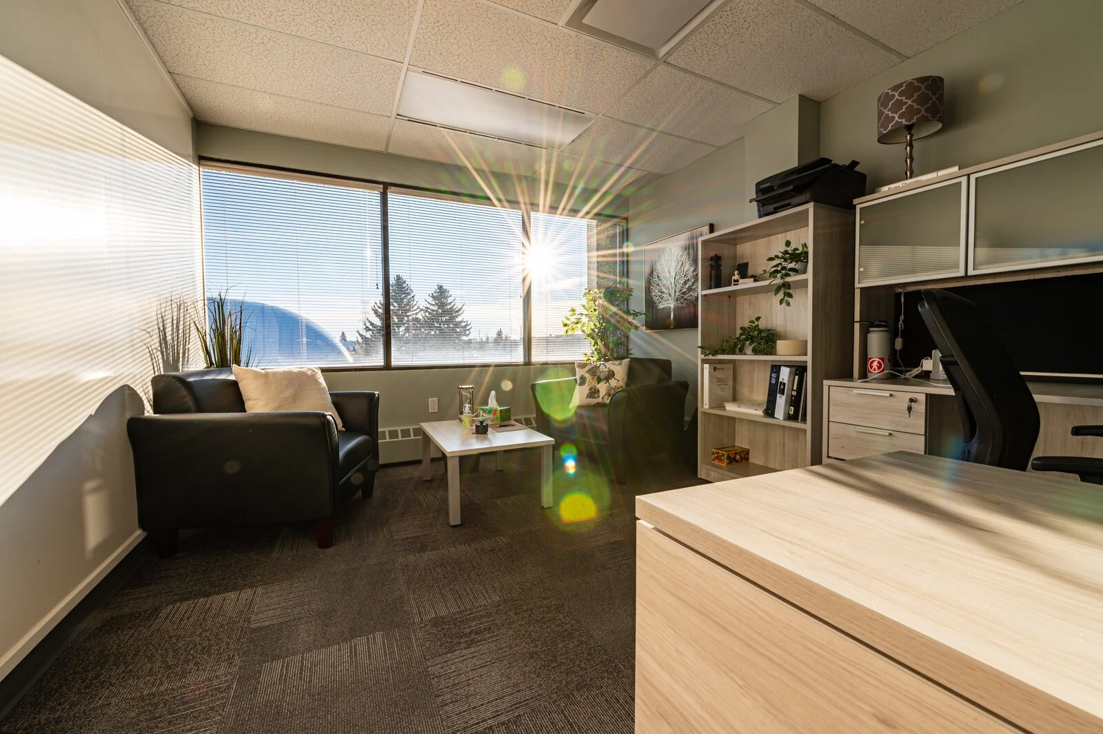 Bright office with large windows and sunlight shining in, featuring a black sofa, a small white table, bookshelf with plants and decor, and a desk with an office chair.
