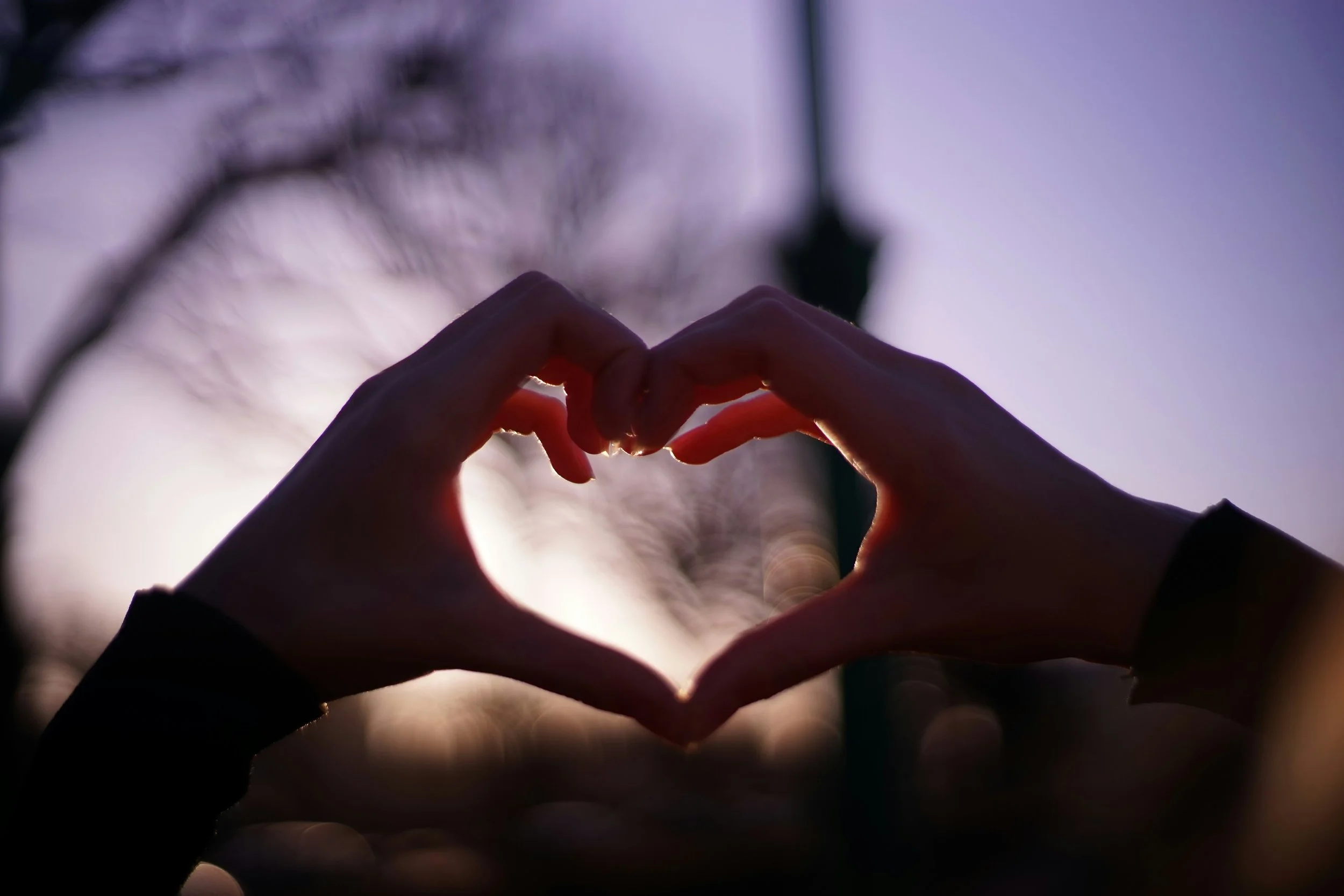 Two hands forming a heart shape against a blurry outdoor background with tree branches and a streetlamp.