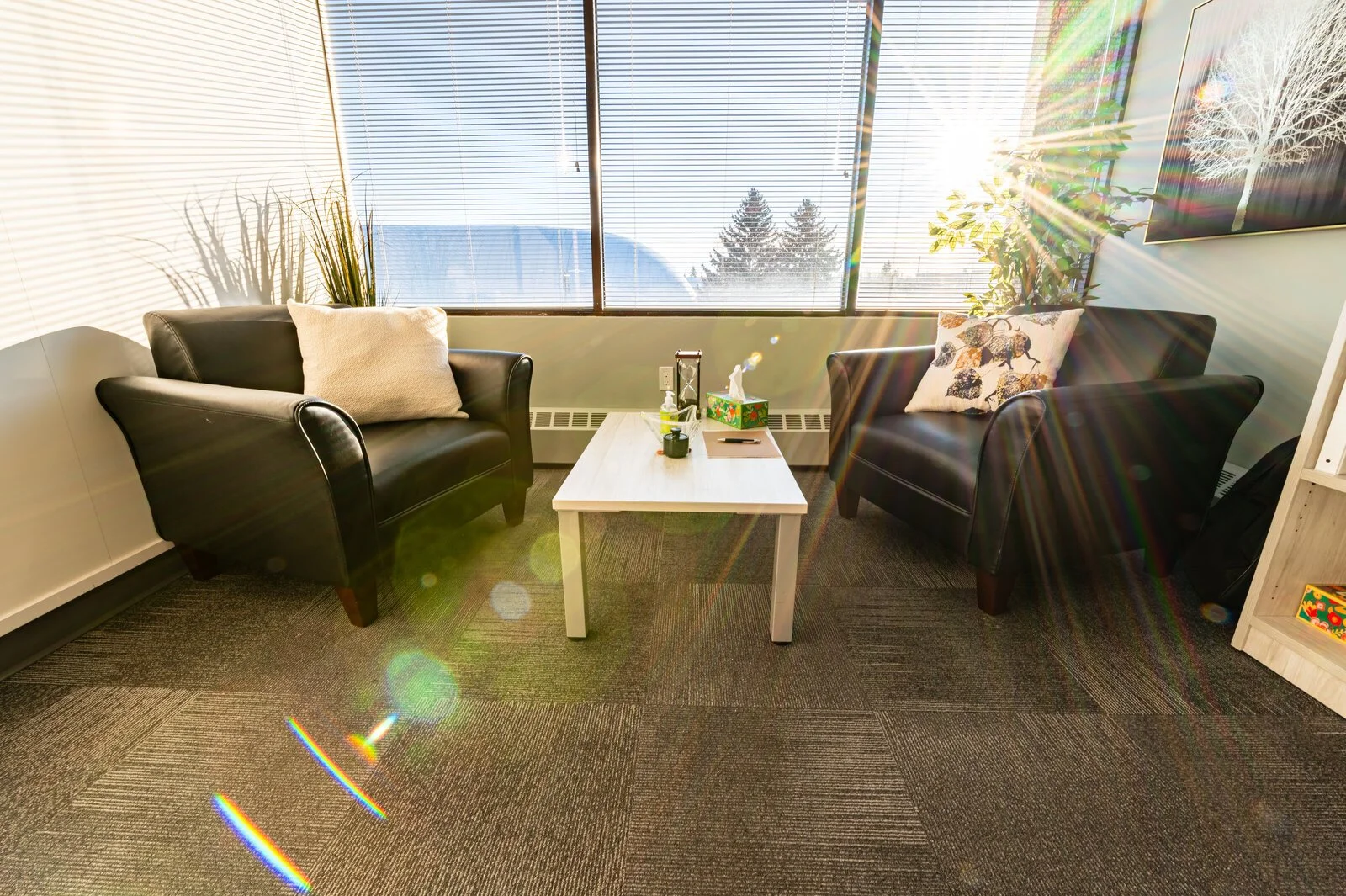 Office waiting area with two black leather armchairs, white throw pillows, a small white coffee table, plants, a large window with blinds, and sunlight creating rainbow lens flares.