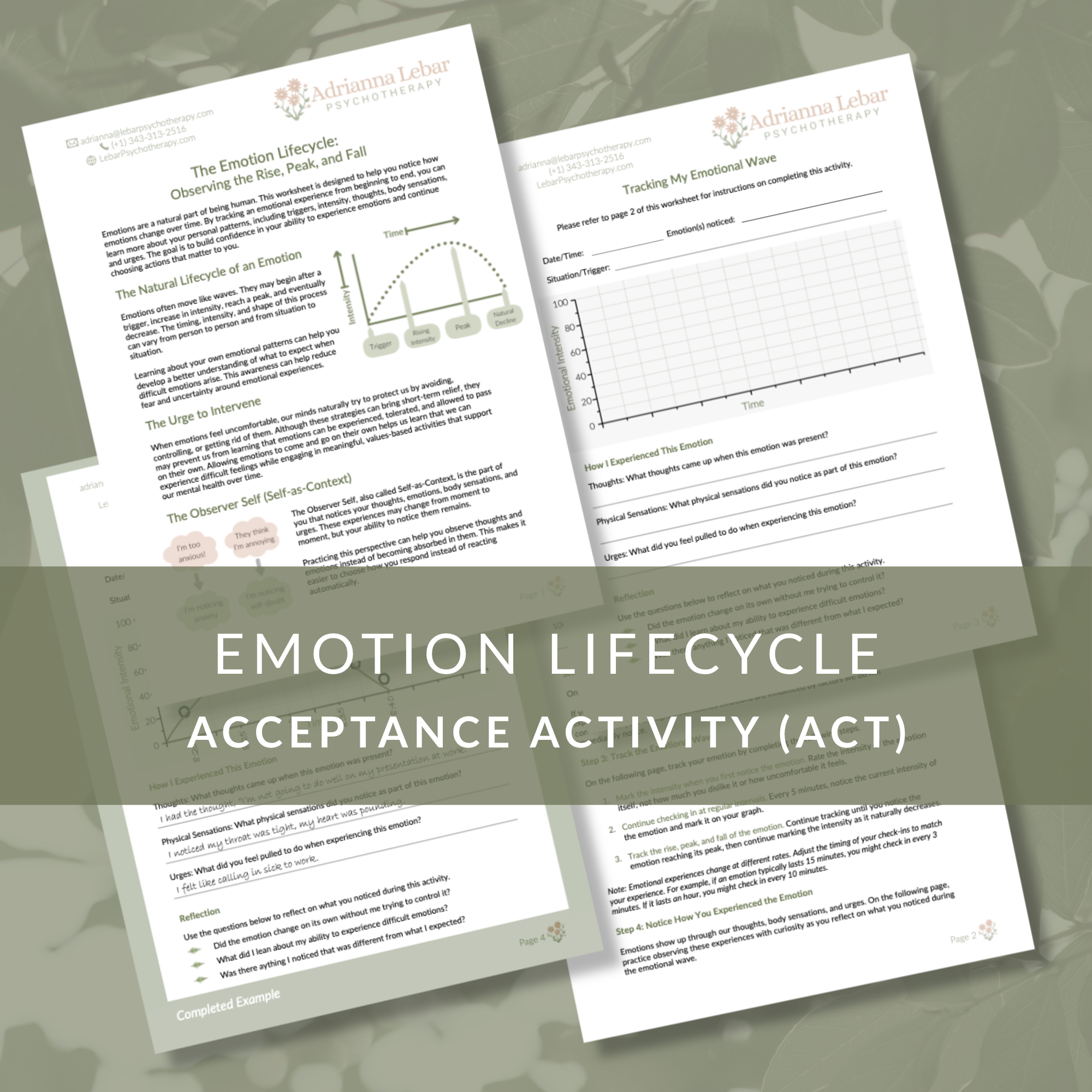 The Emotion Lifecycle: An Acceptance-Based Self-as-Context Exercise