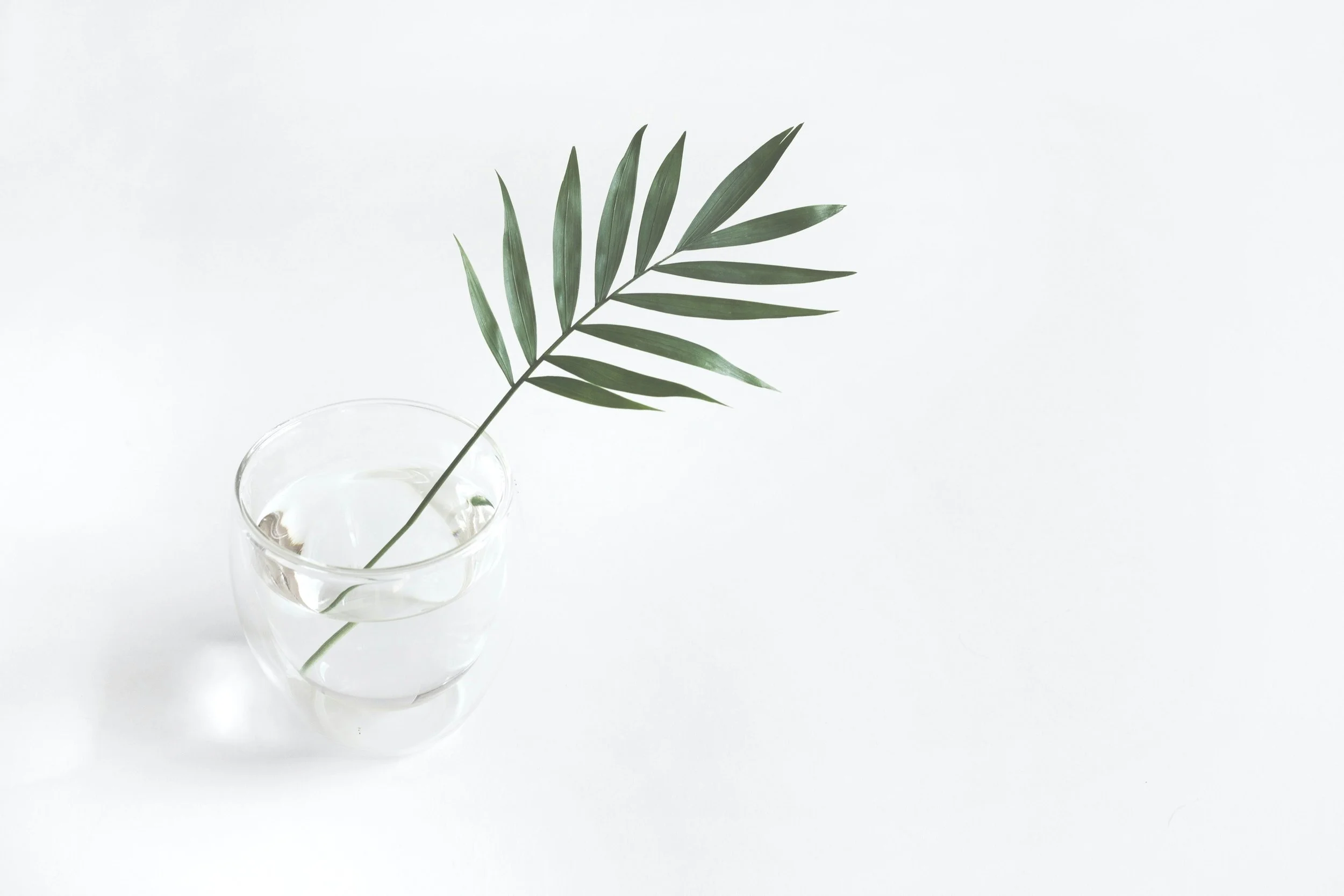 A leaf resting in a clear glass of water on a white surface.