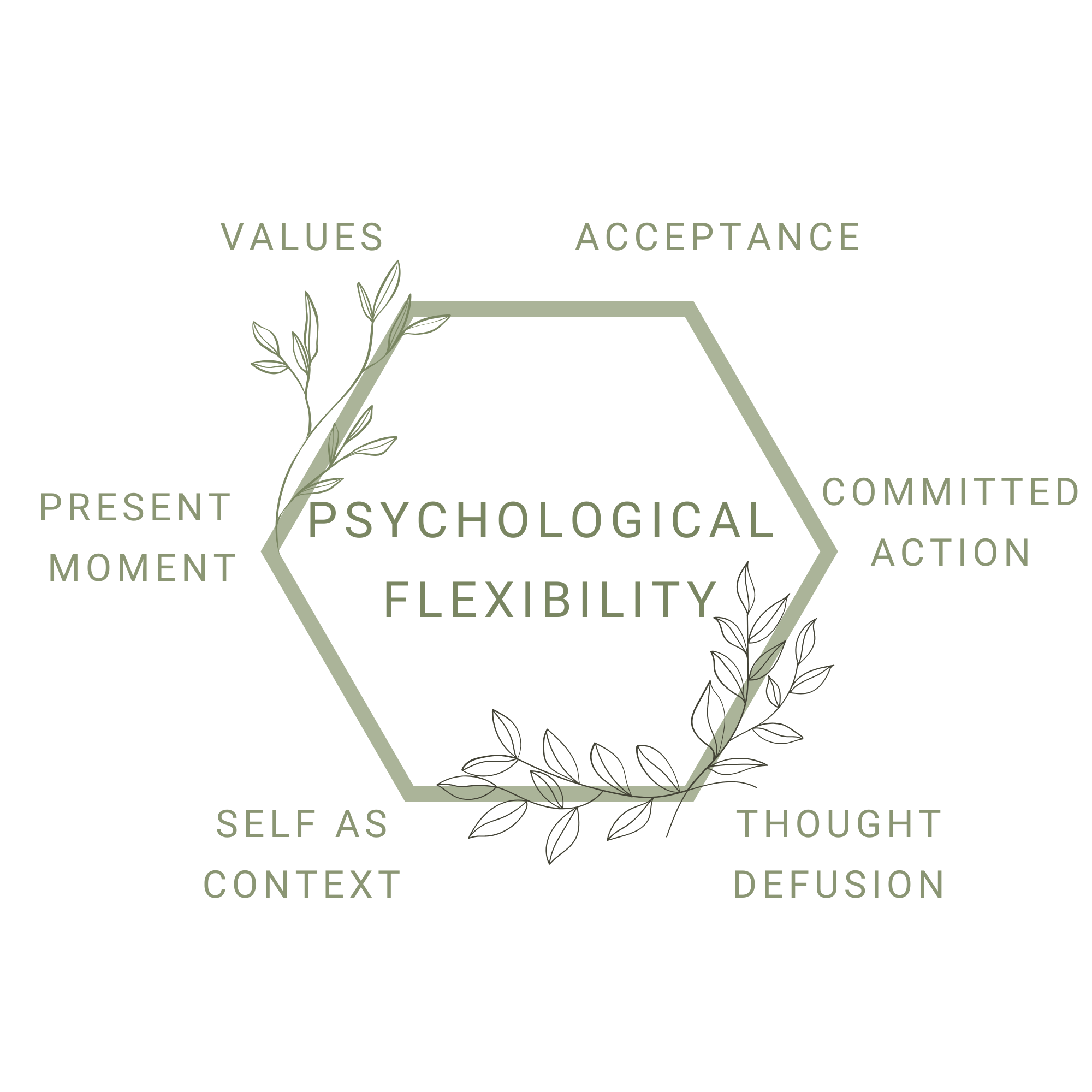 Acceptance and Commitment Therapy (ACT) Hexaflex model showing psychological flexibility through six interconnected processes: acceptance, cognitive defusion, present moment awareness, self-as-context, values, and committed action.