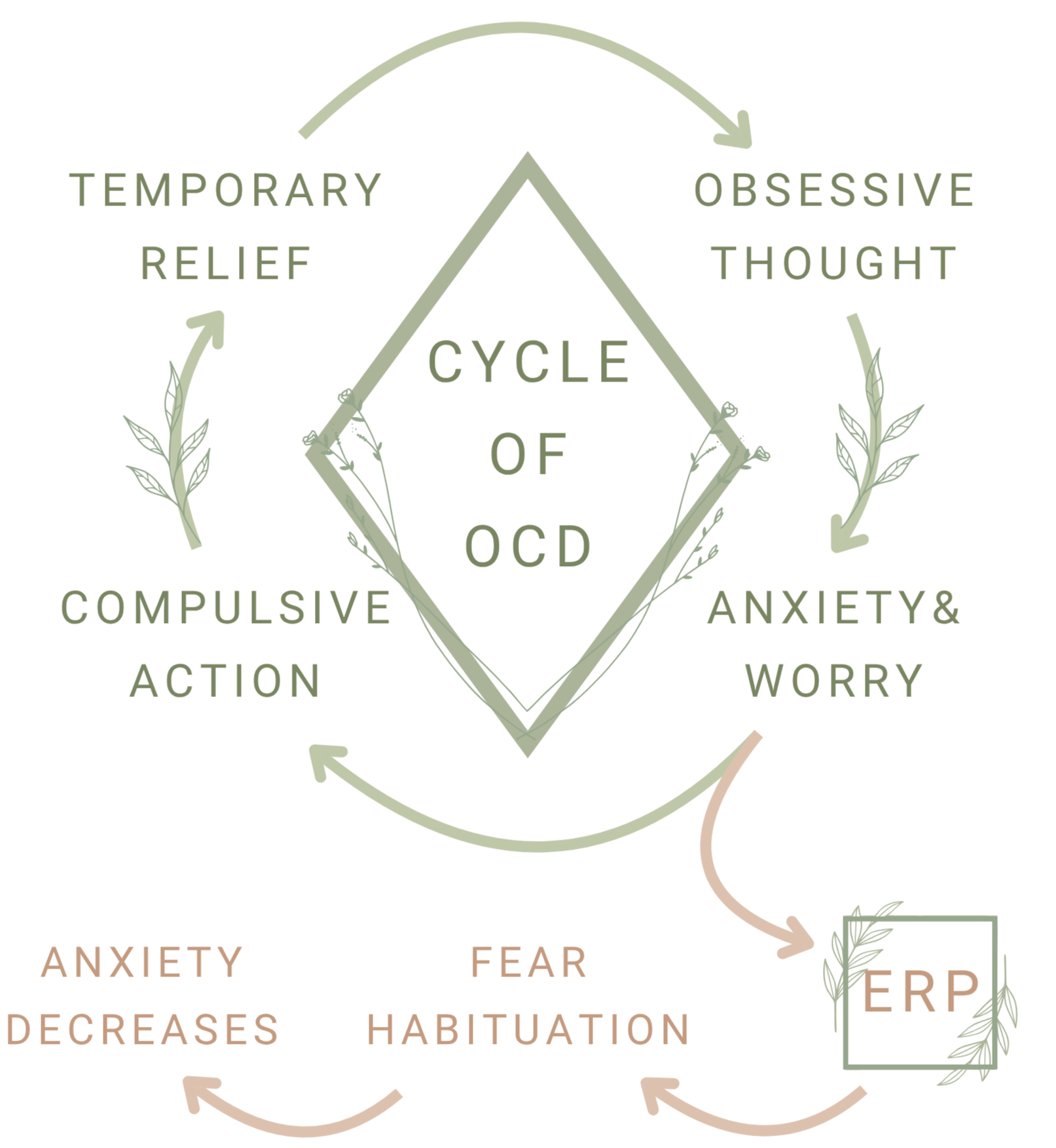 Diagram illustrating the cycle of obsessive-compulsive disorder (OCD) with stages including obsessive thought, anxiety and worry, fear, habit formation, relief, and compulsive action, surrounded by botanical illustrations.